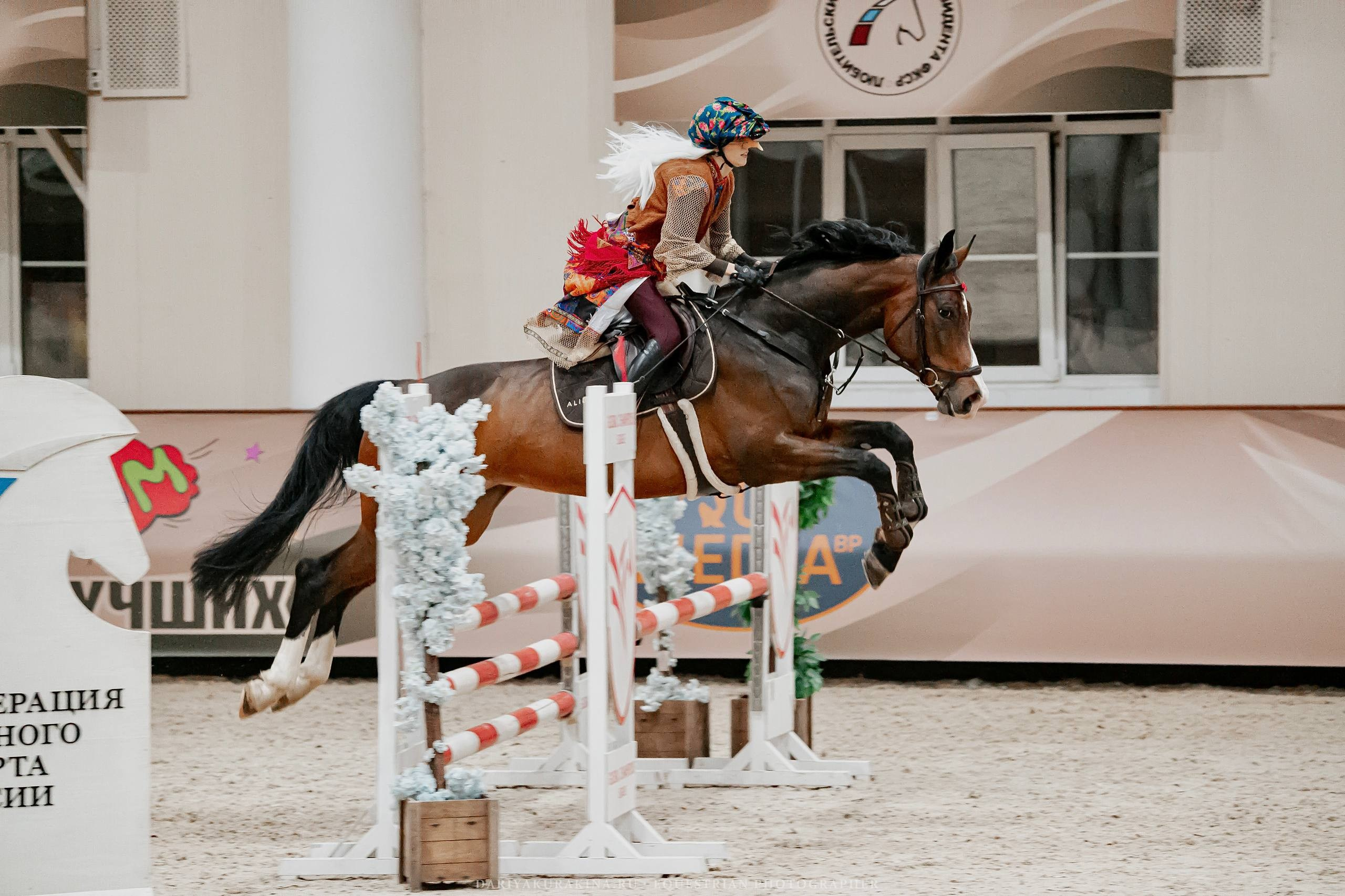 НОВОГОДНИЕ КЛУБНЫЕ СОРЕВНОВАНИЯ ПО КОНКУРУ. Куракина Дарья • Конный фотограф