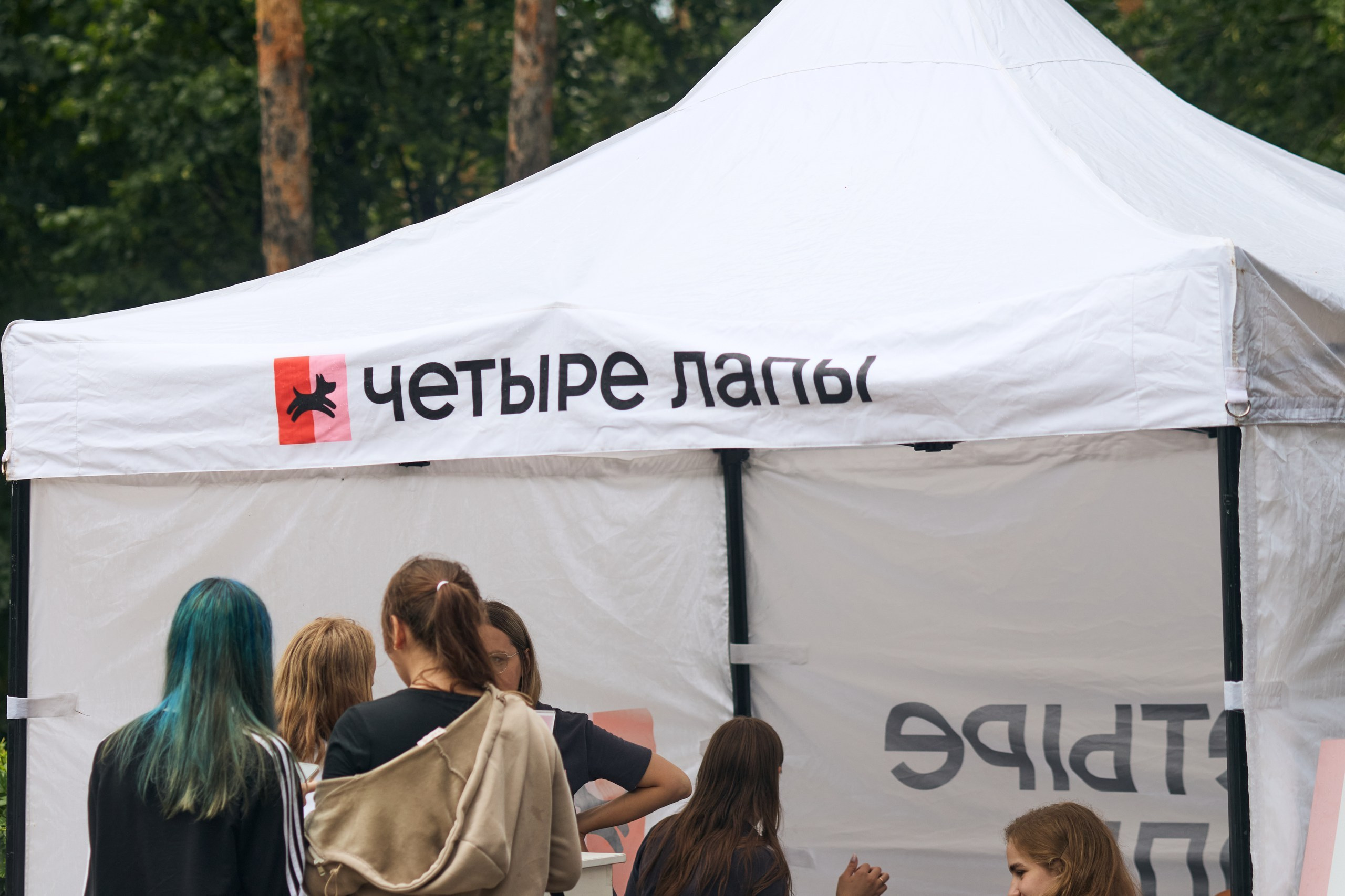 Четыре Лапы. Свадебный и репортажный фотограф Дмитрий Кононенко