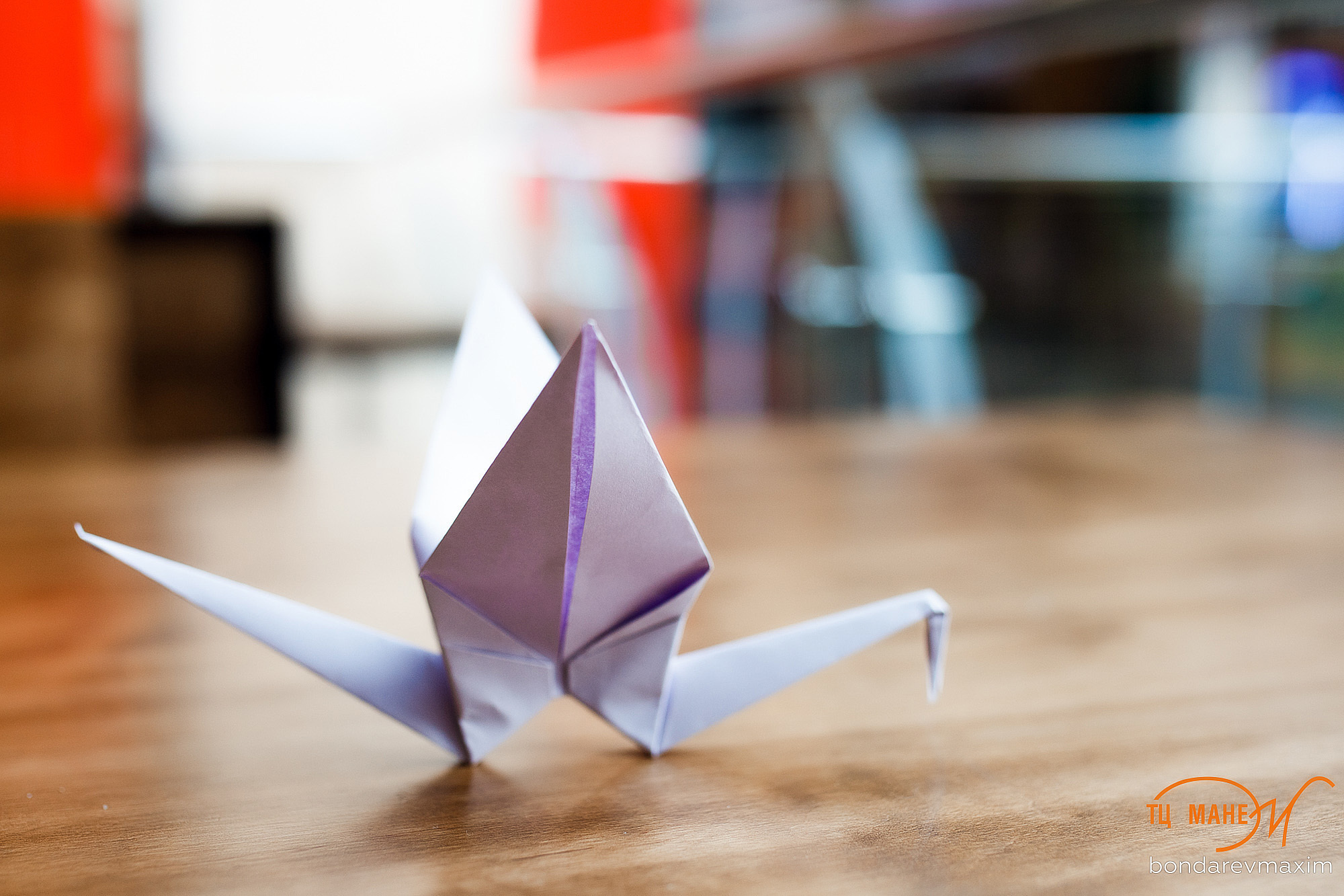 ТЦ Манеж. Максим Бондарев, коммерческий фотограф для бизнеса | Курск