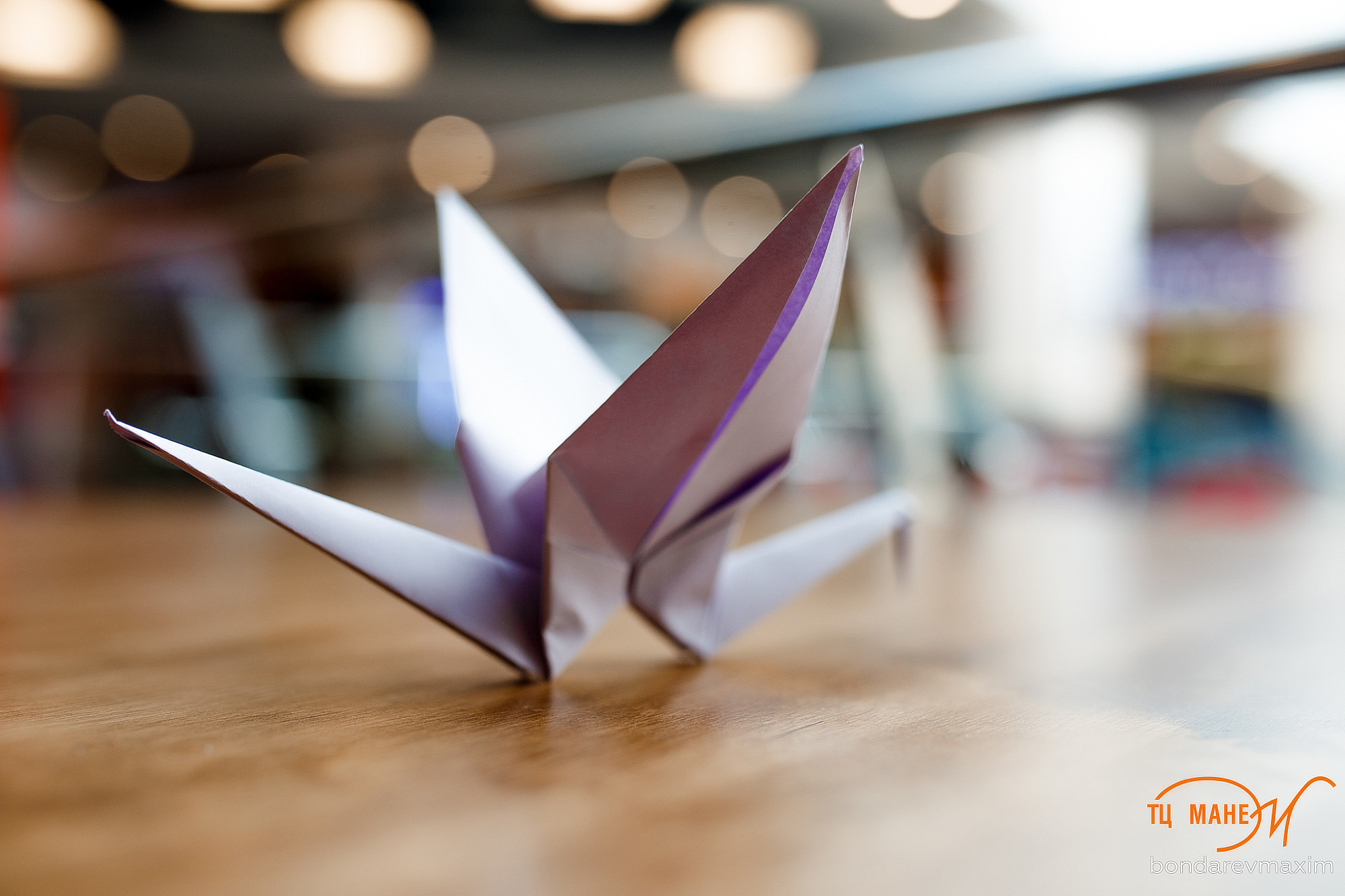 ТЦ Манеж. Максим Бондарев, коммерческий фотограф для бизнеса | Курск