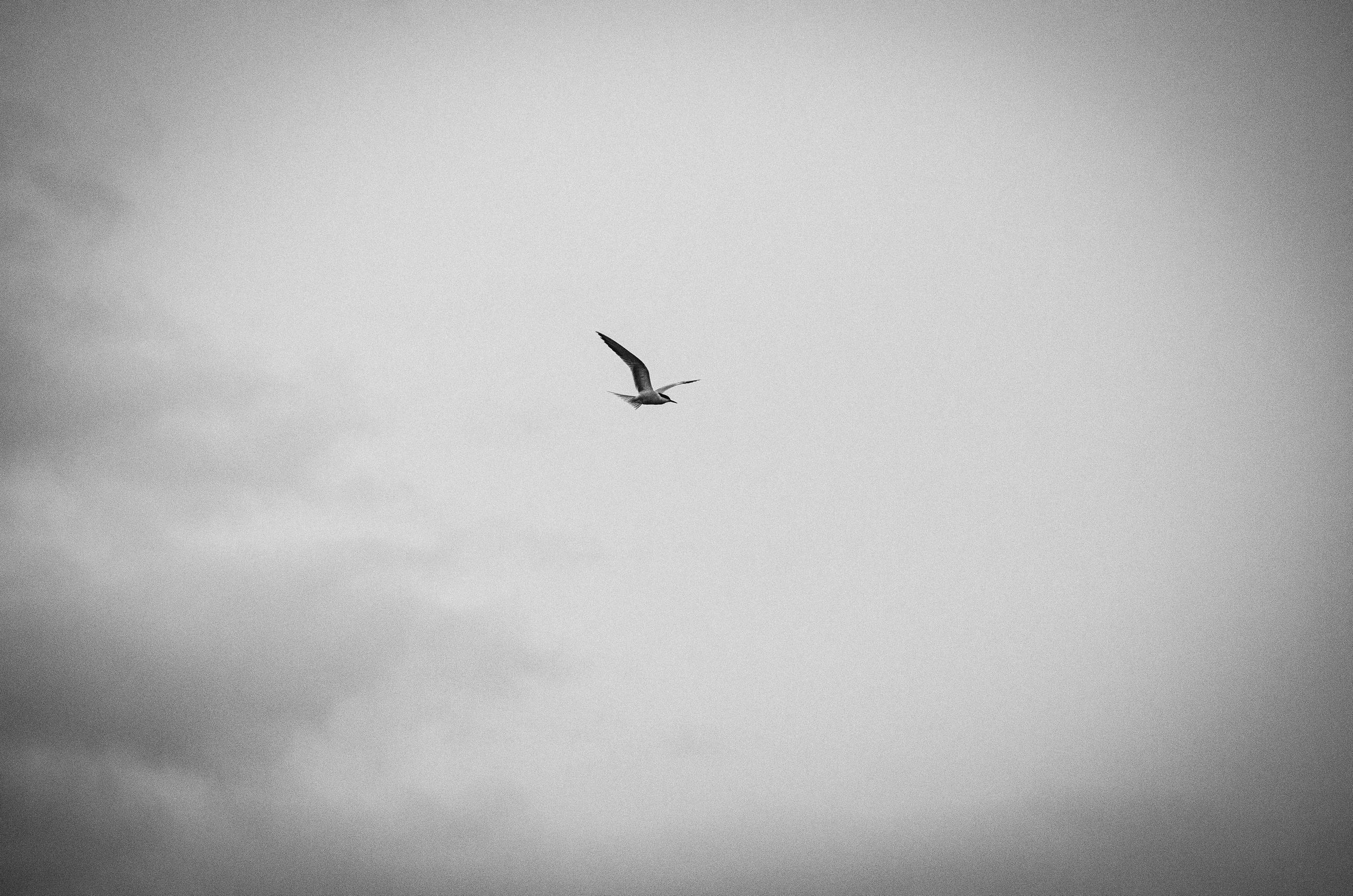 Карелия. Василий Кабайлов Фотограф в Санкт-Петербурге