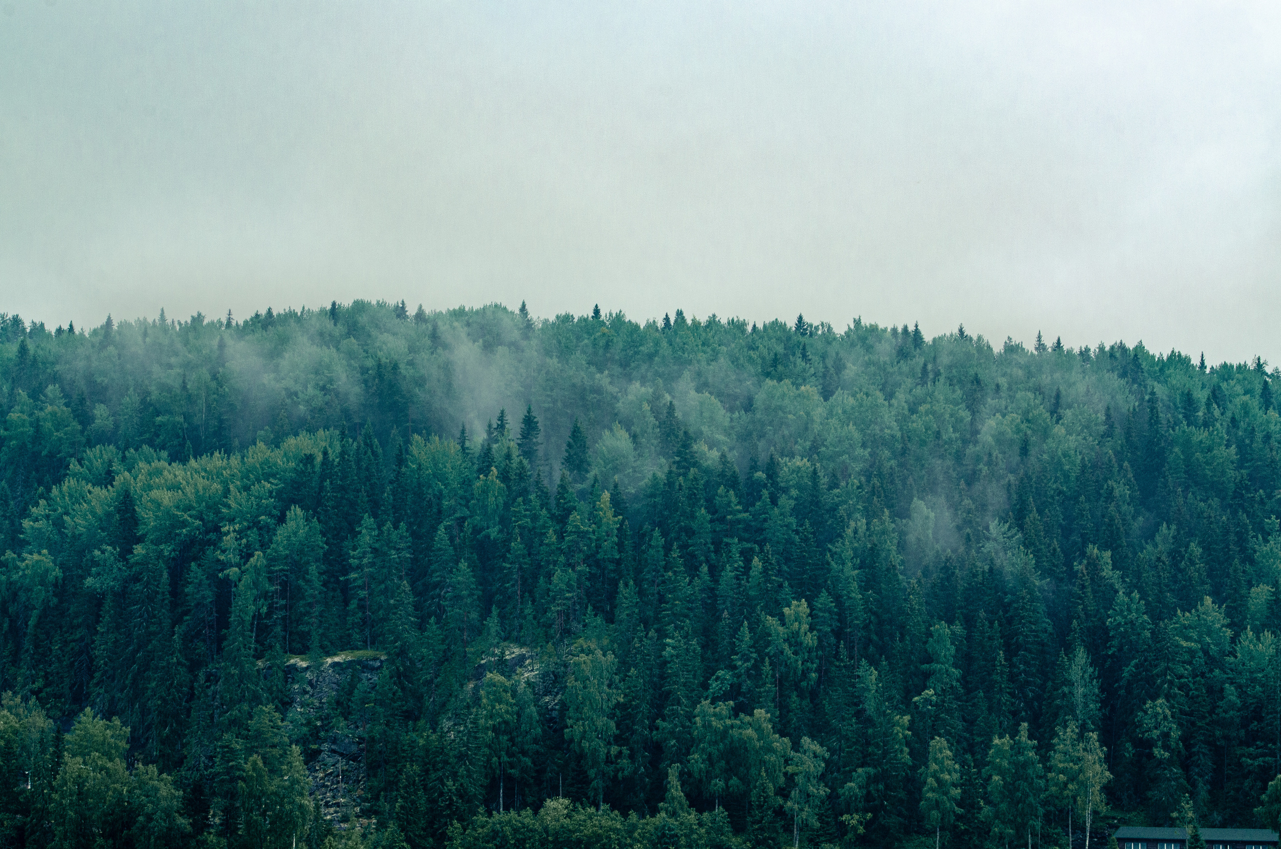Карелия. Василий Кабайлов Фотограф в Санкт-Петербурге