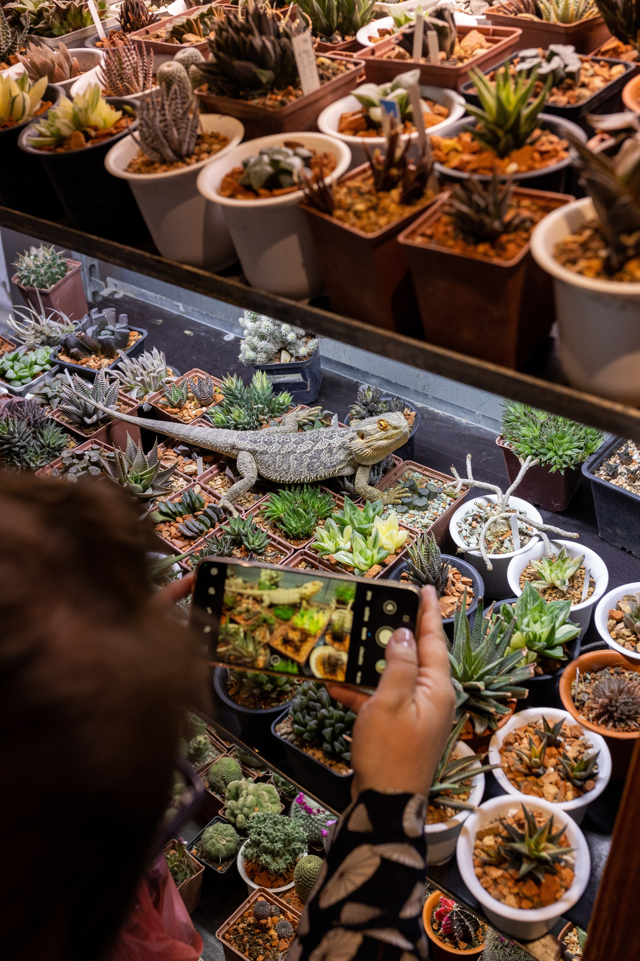 Meza market 2024. Александра Куликова фотограф, Москва