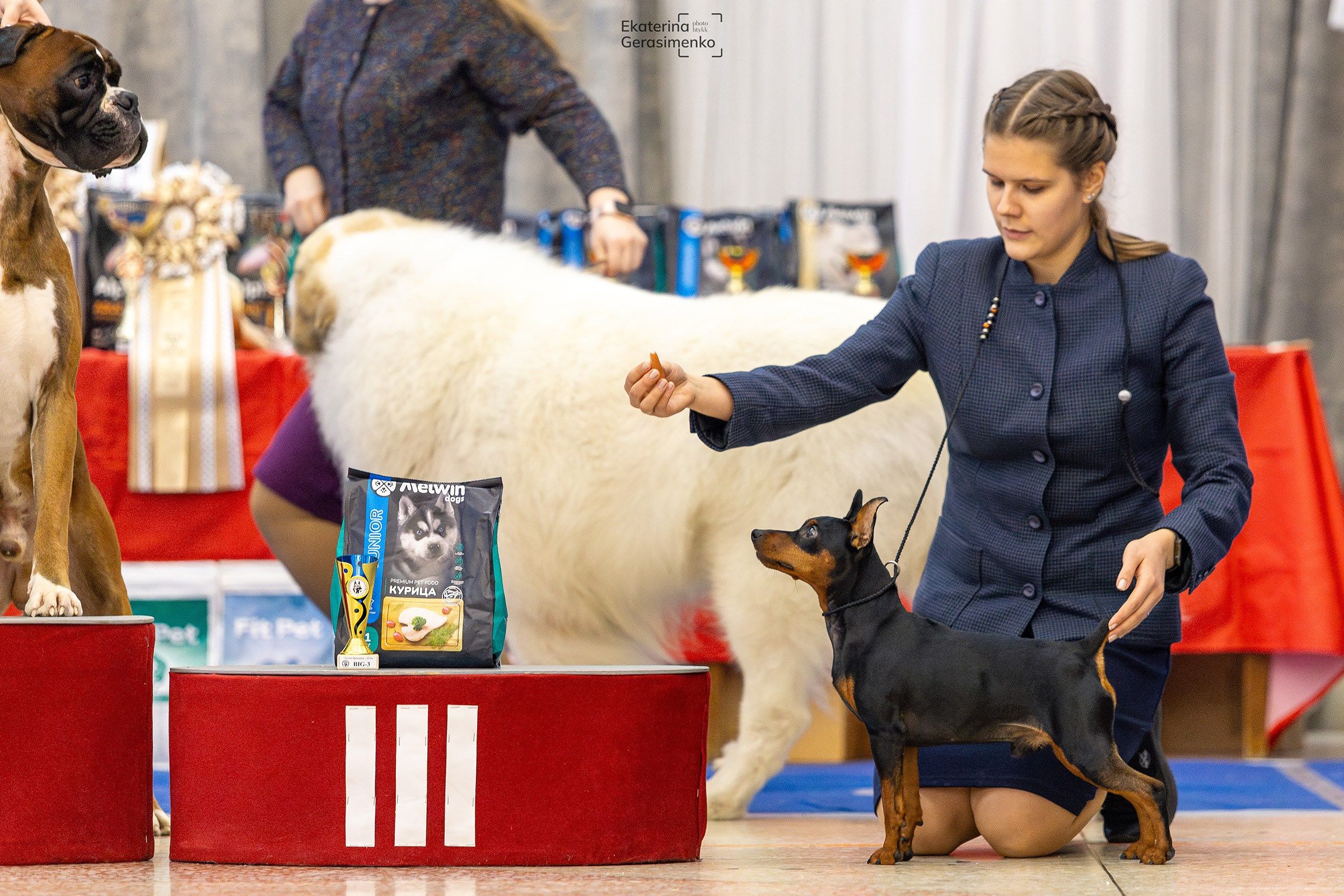 10 ноября 2024, Выставка РКФ, г. Пермь. Htykk_photo