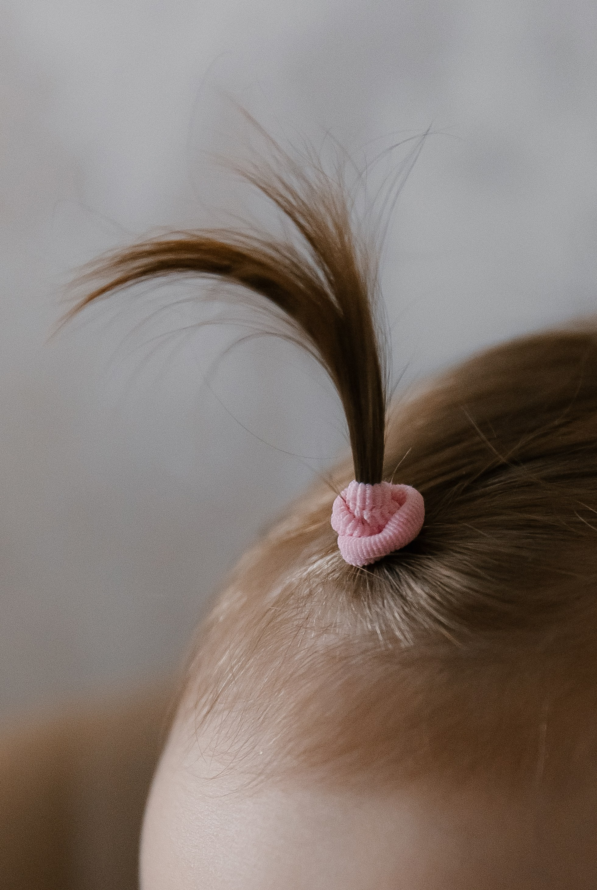 Домашняя история. Свадебный и семейный фотограф в Таганроге и Ростове Руднева Анастасия