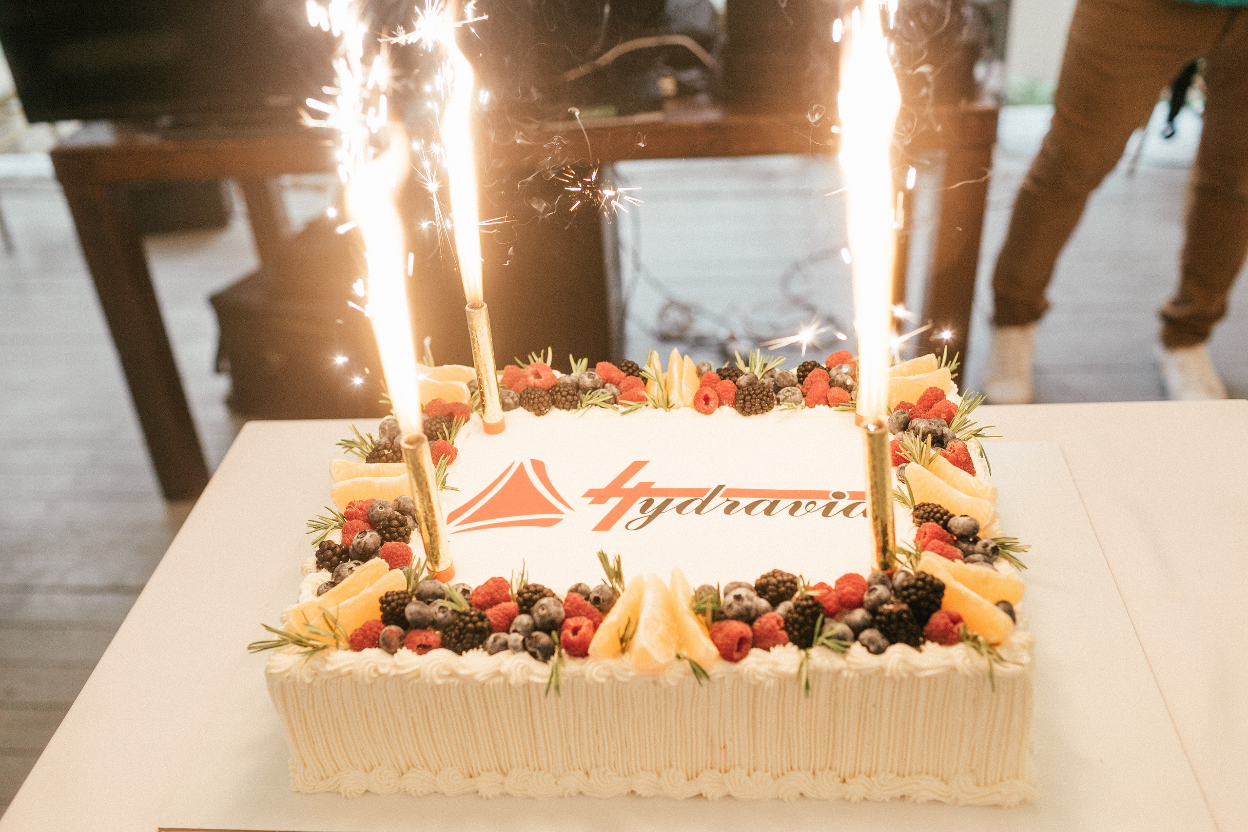 Hidravia. Корпоратив. Портфолио свадебного фотографа. Роман Каргаполов