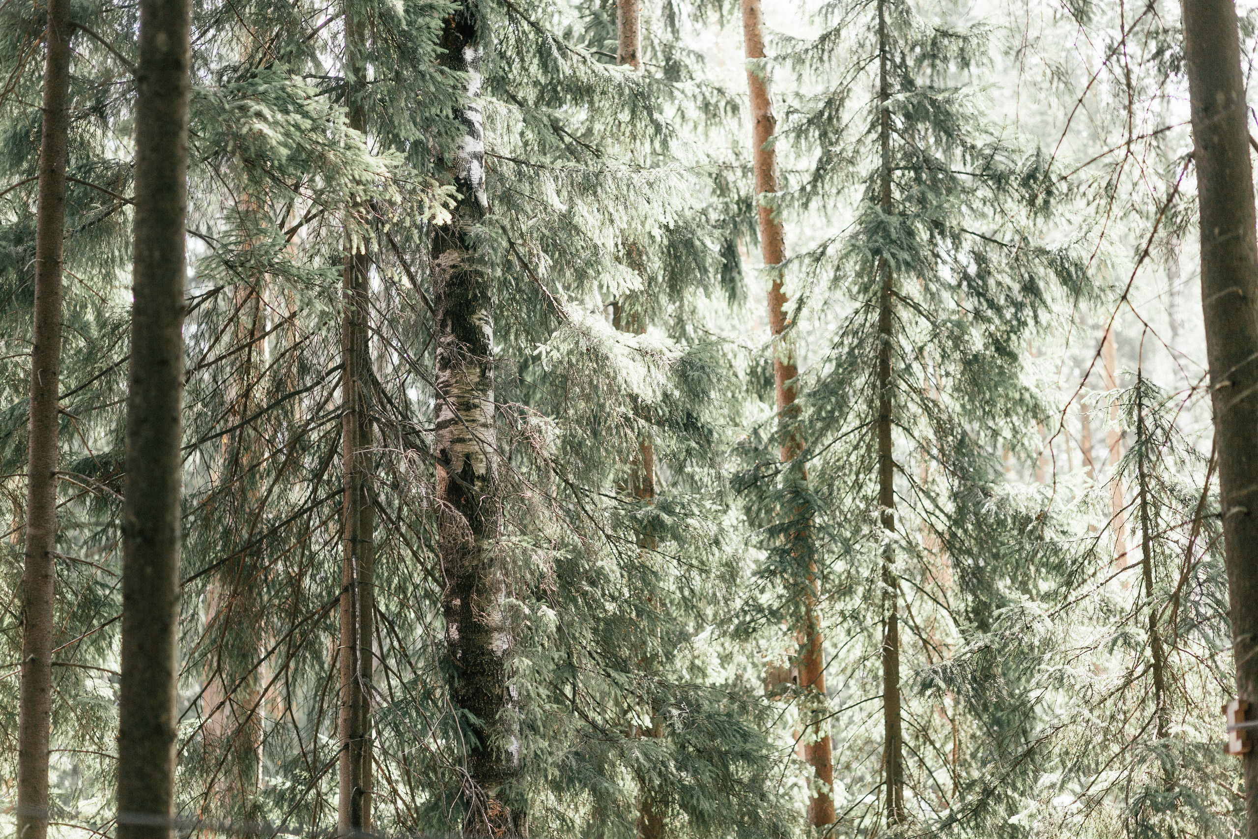 Hidravia. Корпоратив. Портфолио свадебного фотографа. Роман Каргаполов