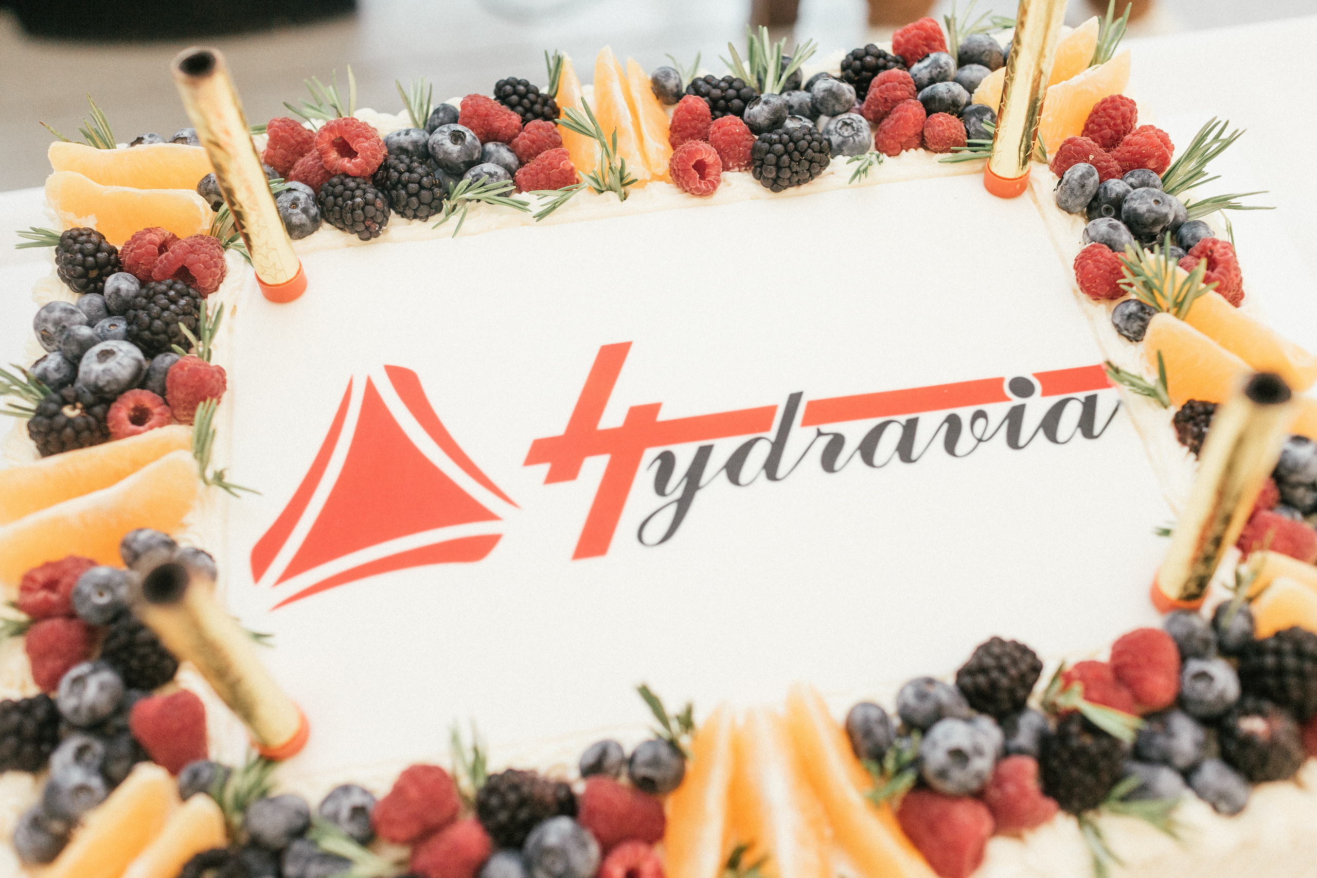 Hidravia. Корпоратив. Портфолио свадебного фотографа. Роман Каргаполов