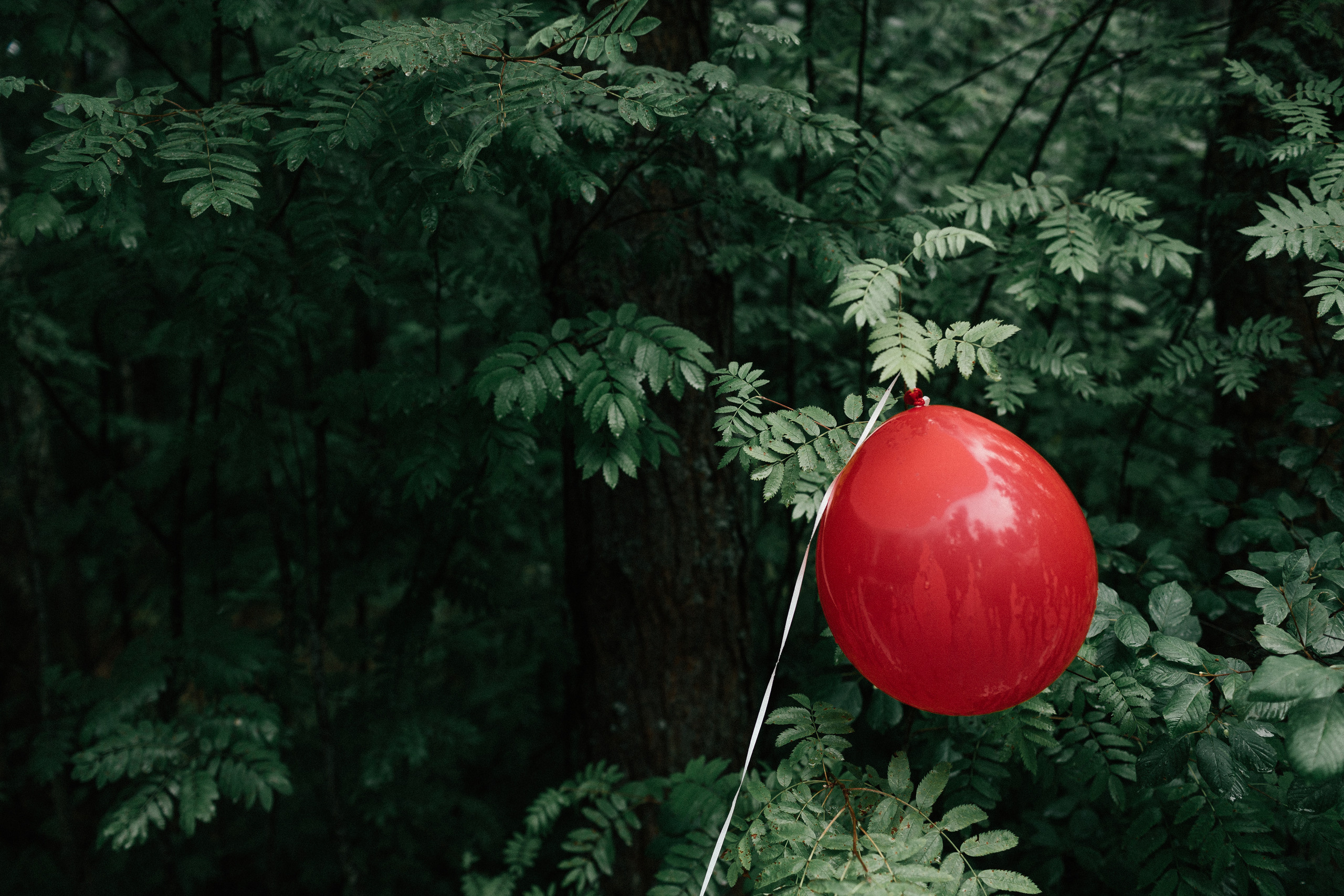 Hidravia. Корпоратив. Портфолио свадебного фотографа. Роман Каргаполов