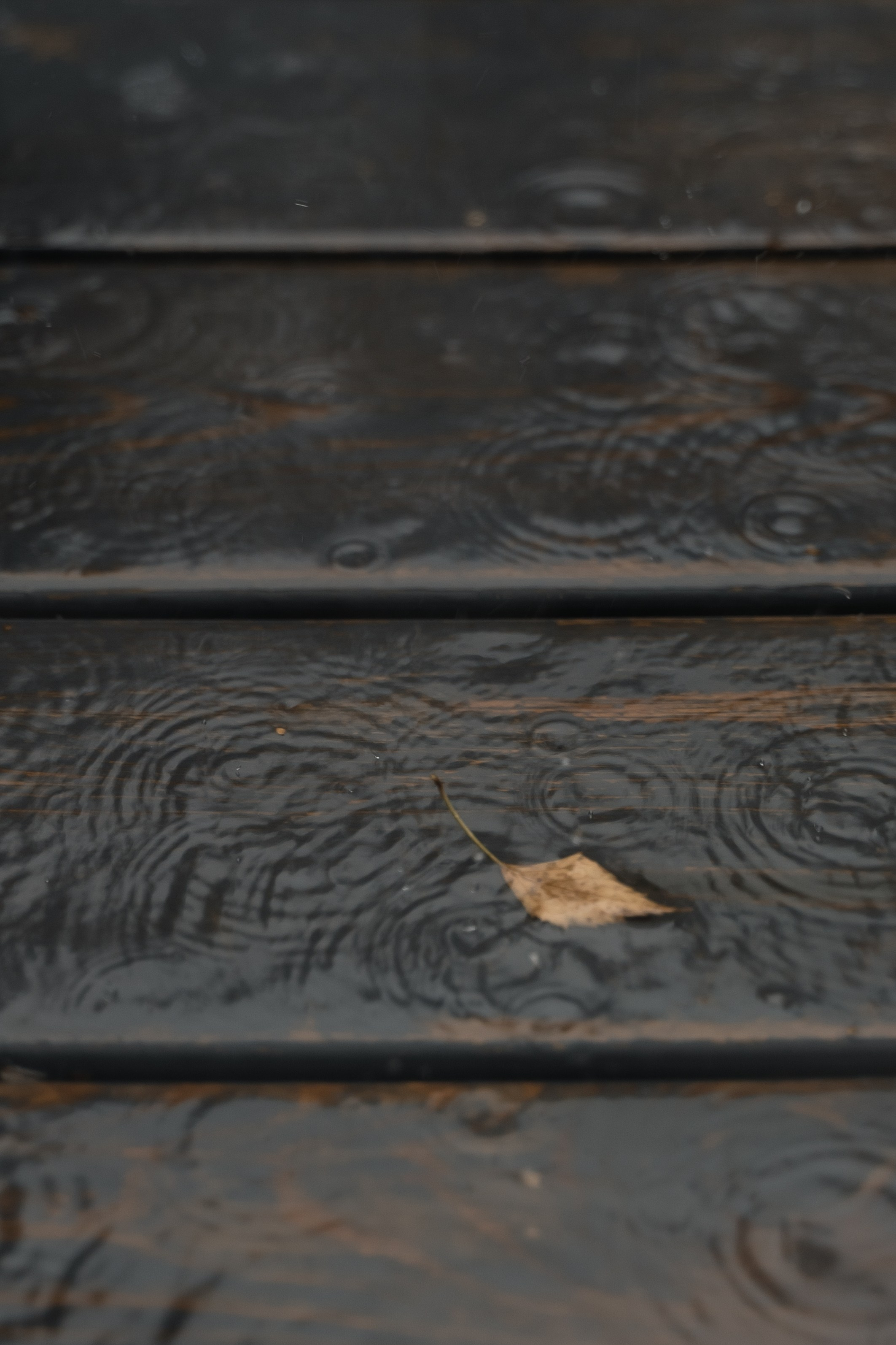 Рустам и Настя. Свадебный и семейный фотограф в Новосибирске Наталья Зорина