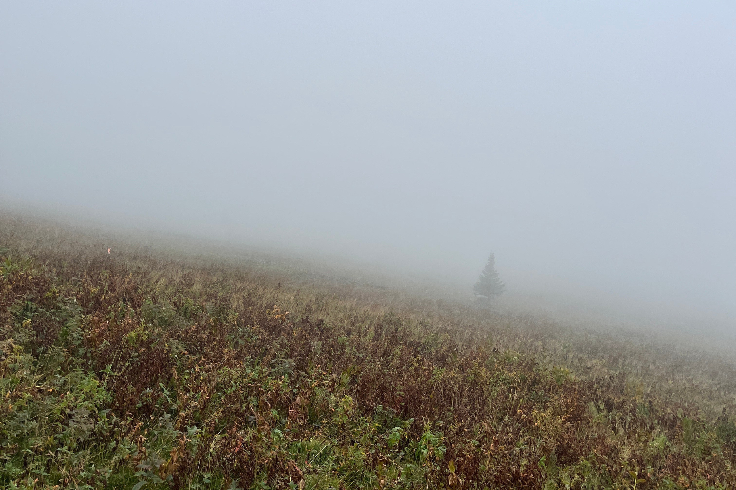 Тур на Иремель из Уфы — Время Приключений