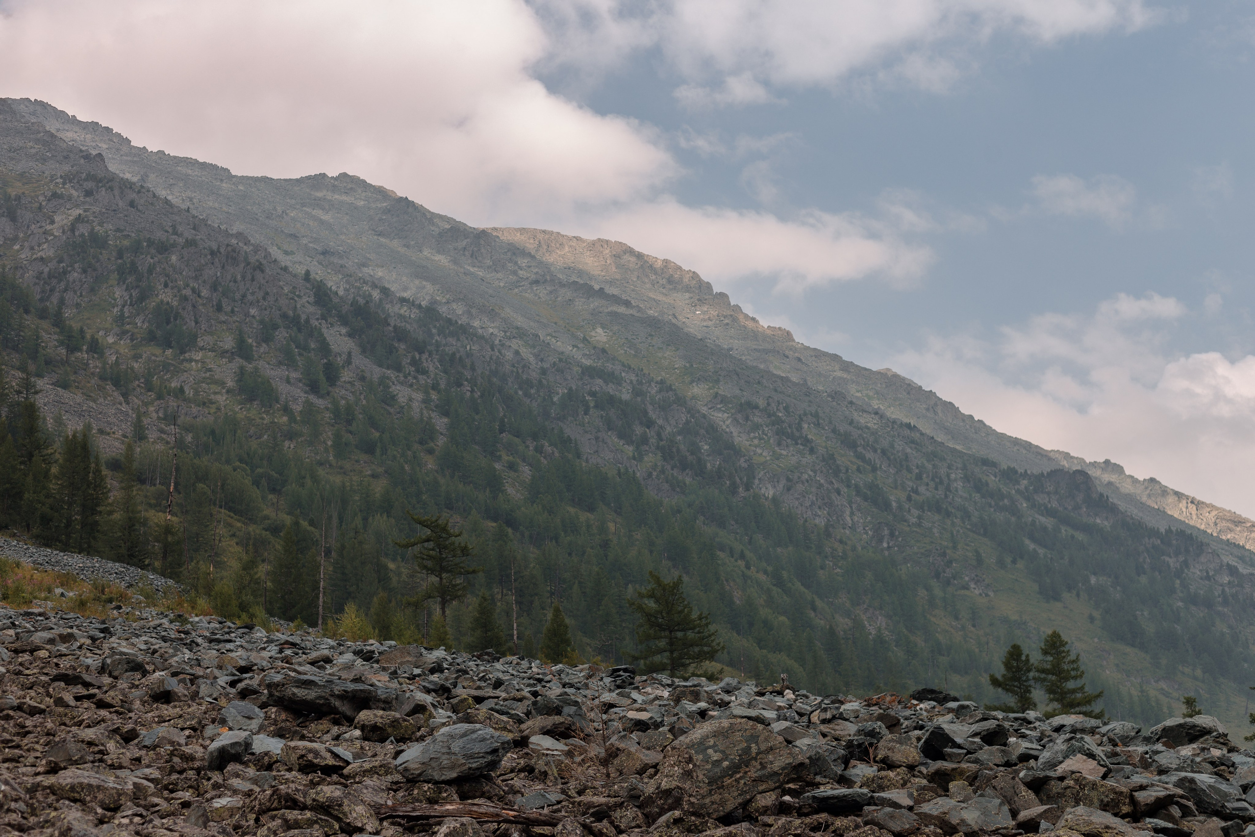 Катунский заповедник, Республика Алтай. Репортажный фотограф в Крыму Ксения Гасица