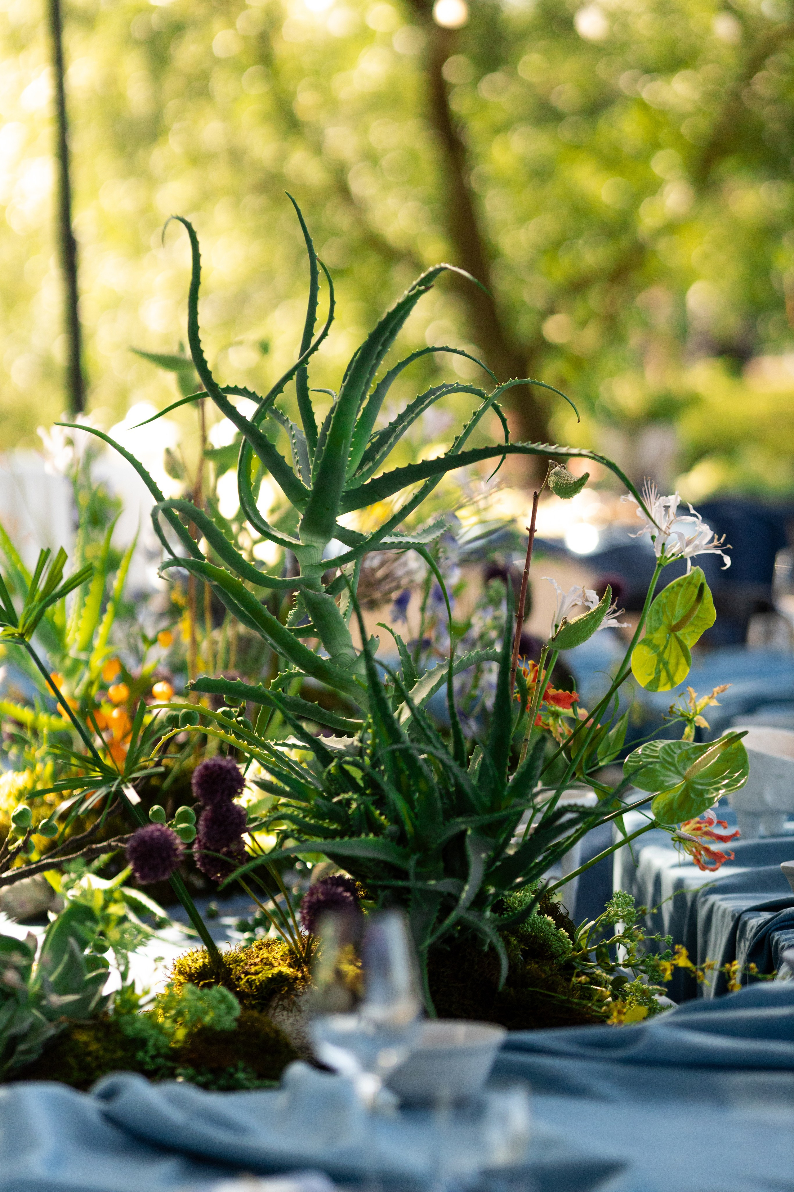 Сшиты на века. Свадебный фотограф. Краснодар, Сочи, Новороссийск. Вадим Мерье