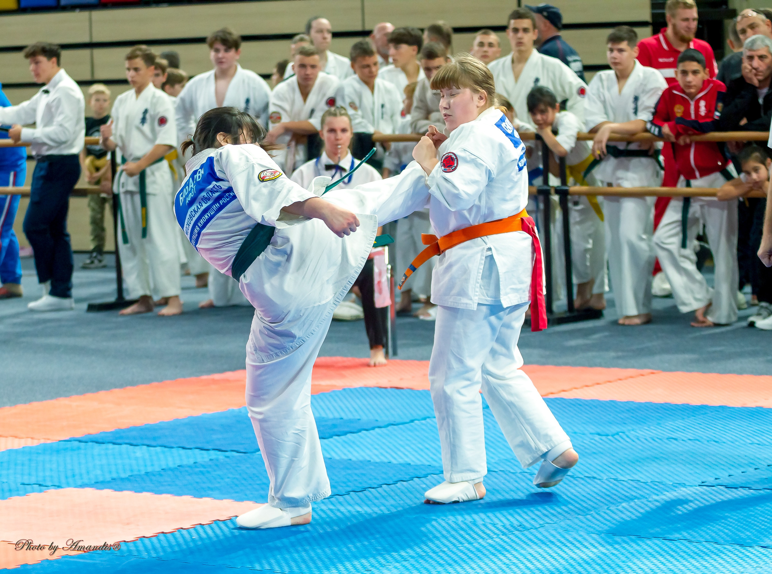 Первенство Московской области по Киокушин в СК «Жаворонки». Репортажная съемка в Москве и области. Анималистика