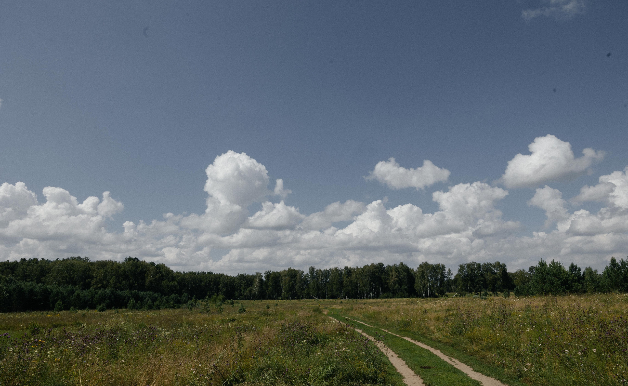 Свадебная история Тани и Саввы. Взлетаем. Свадебный и семейный фотограф Рассказова Виктория