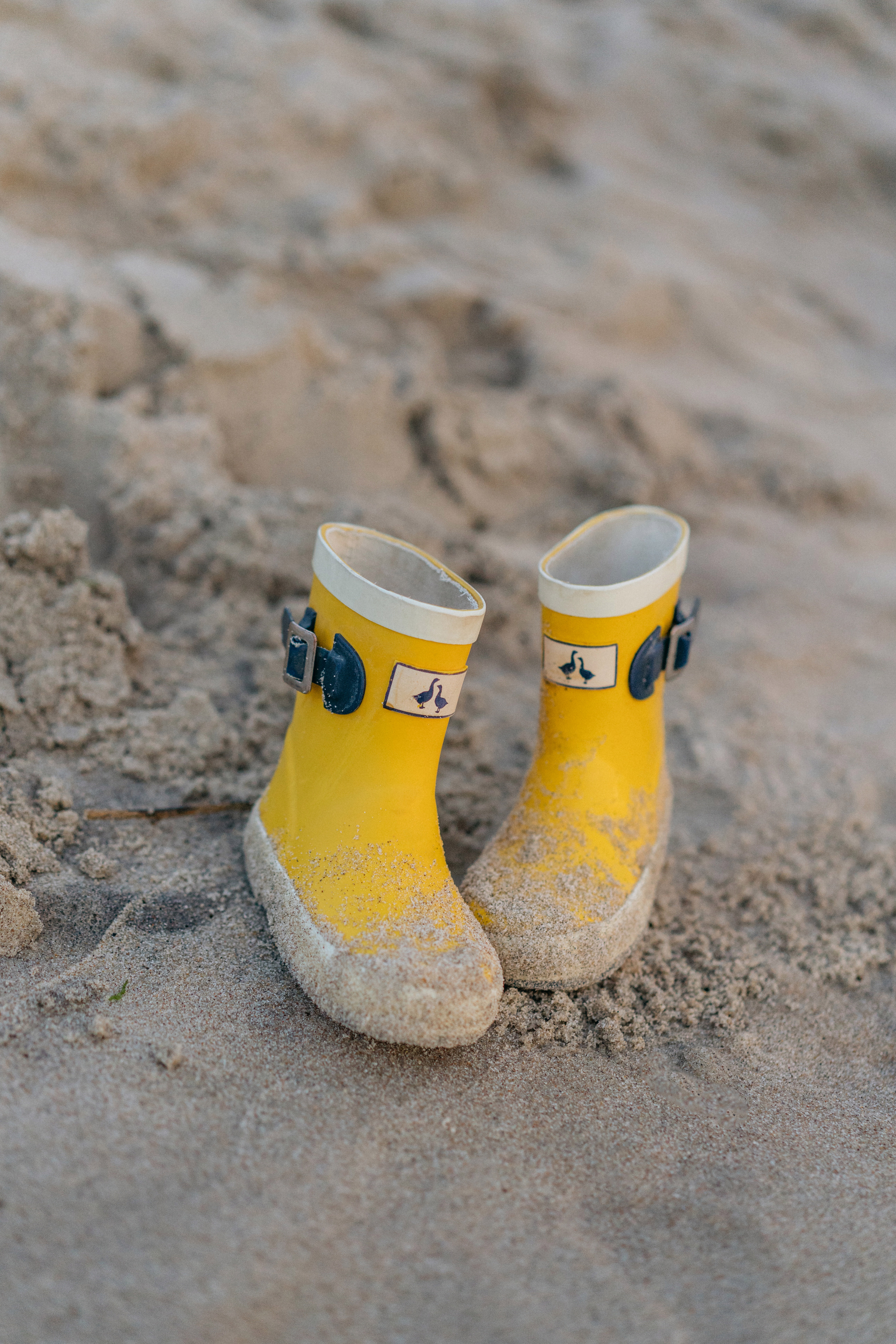 Маша и ВИктория. Свадебный и семейный фотограф в Калининграде Анастасия Гриценко