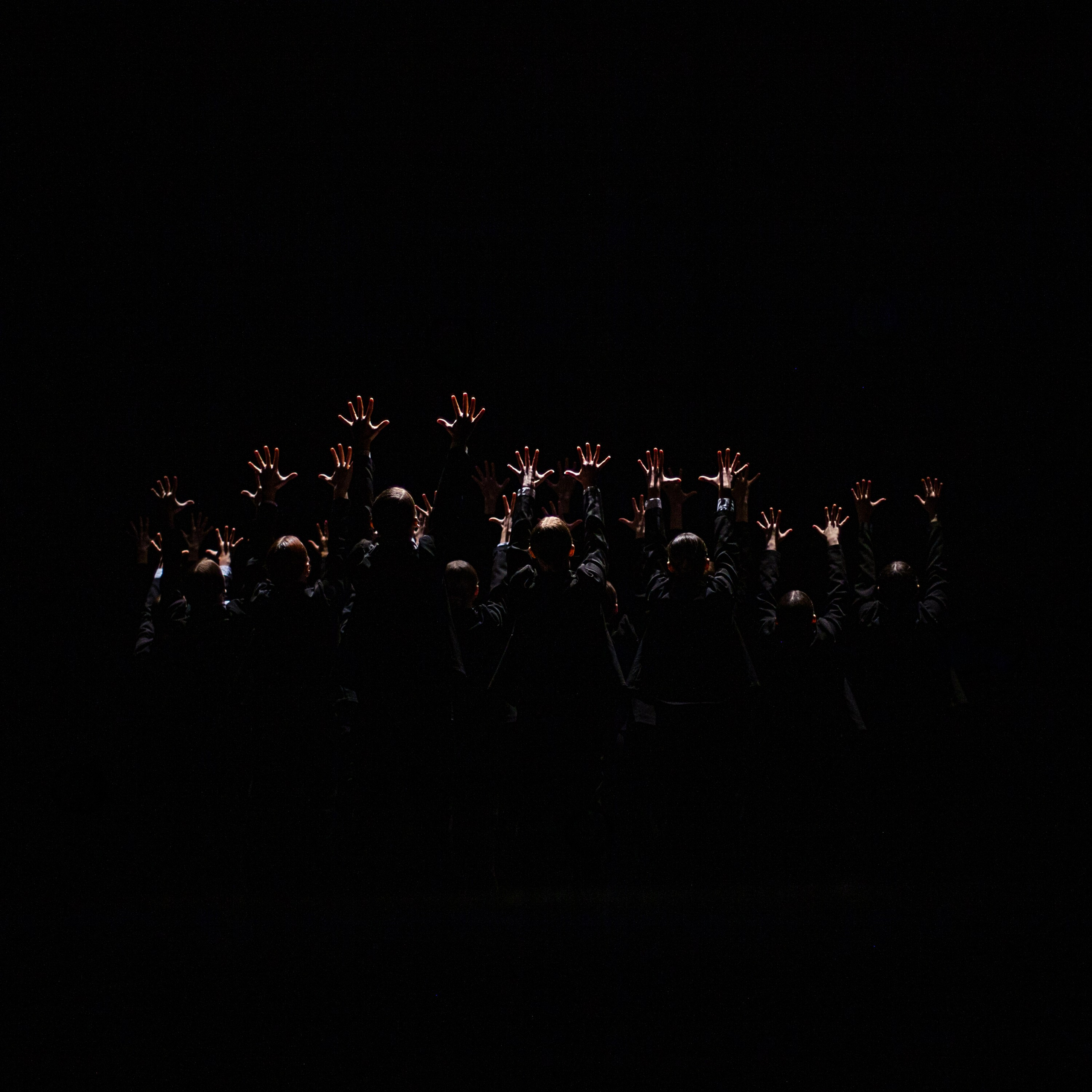 Концерты. Виолетта Скрипка