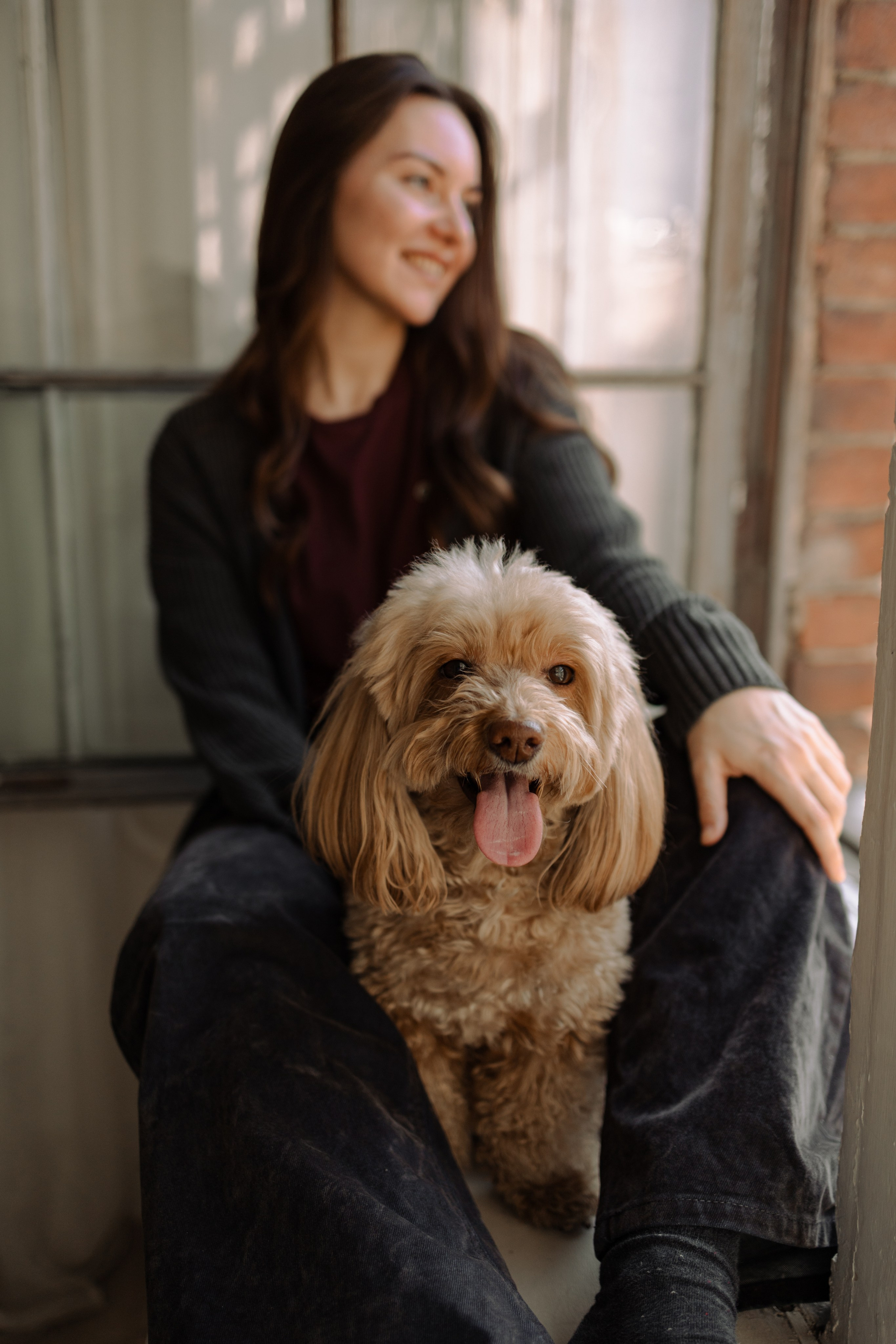 Шкипер и его семья. Фотограф — Анималист | Санкт-Петербург