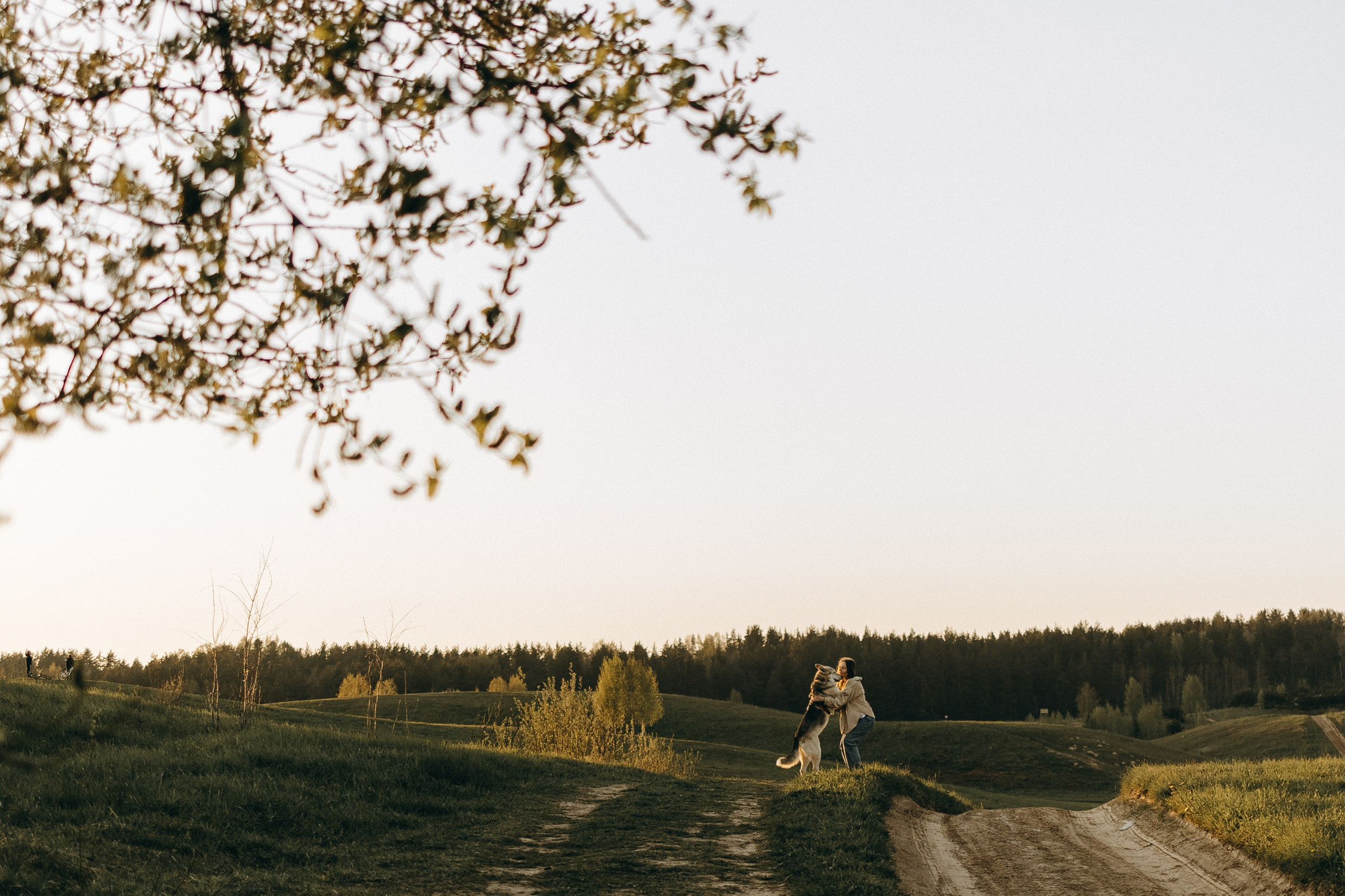 Саша и Зельда. Фотограф — Анималист | Санкт-Петербург