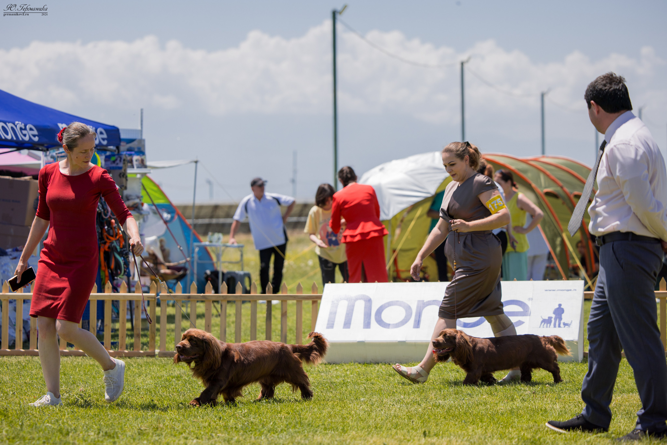 Ереван 3-5.06.2024. Фотограф-анималист Юлия Германика