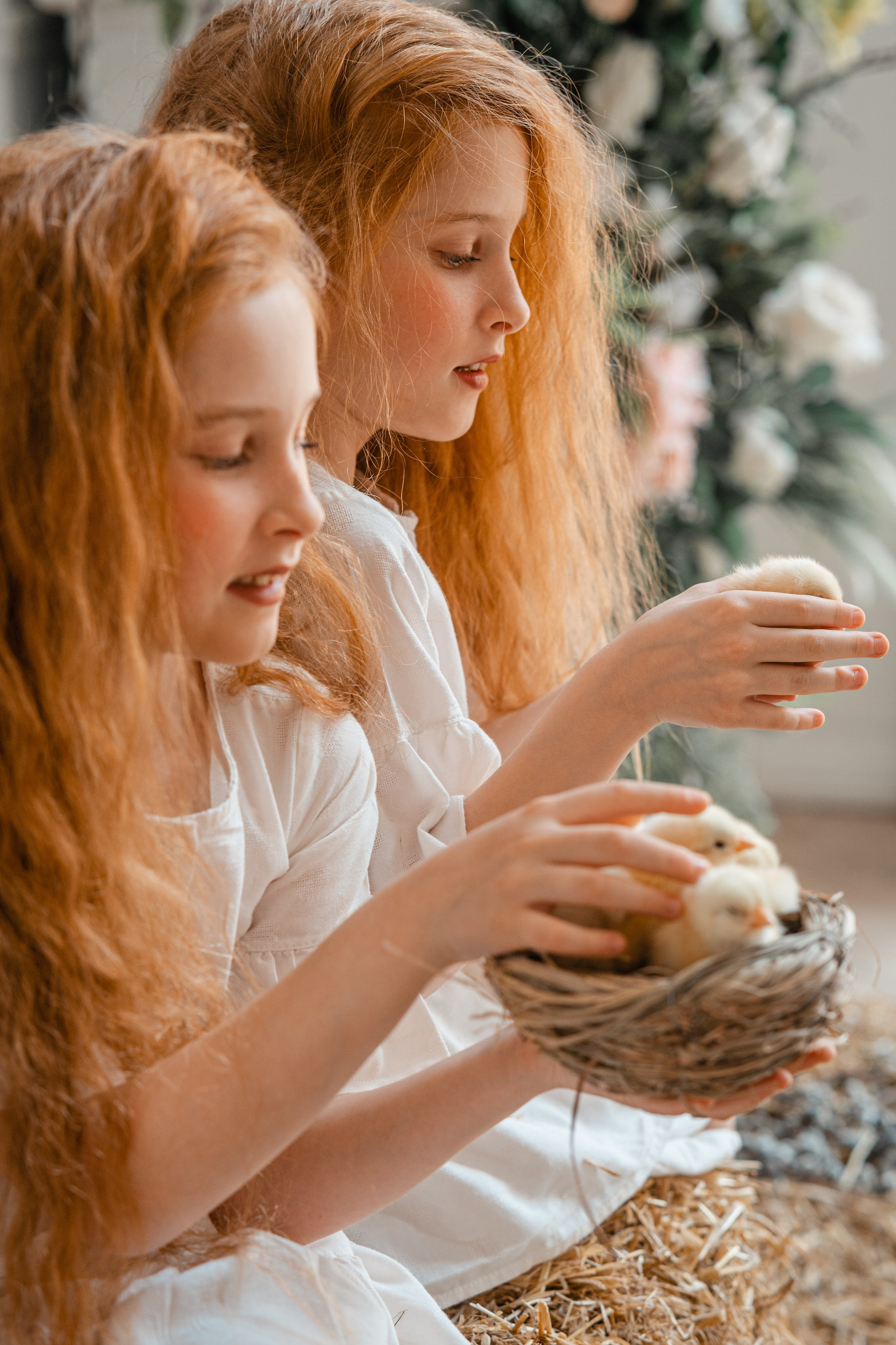 Студия. Фотограф Мария Зайчик