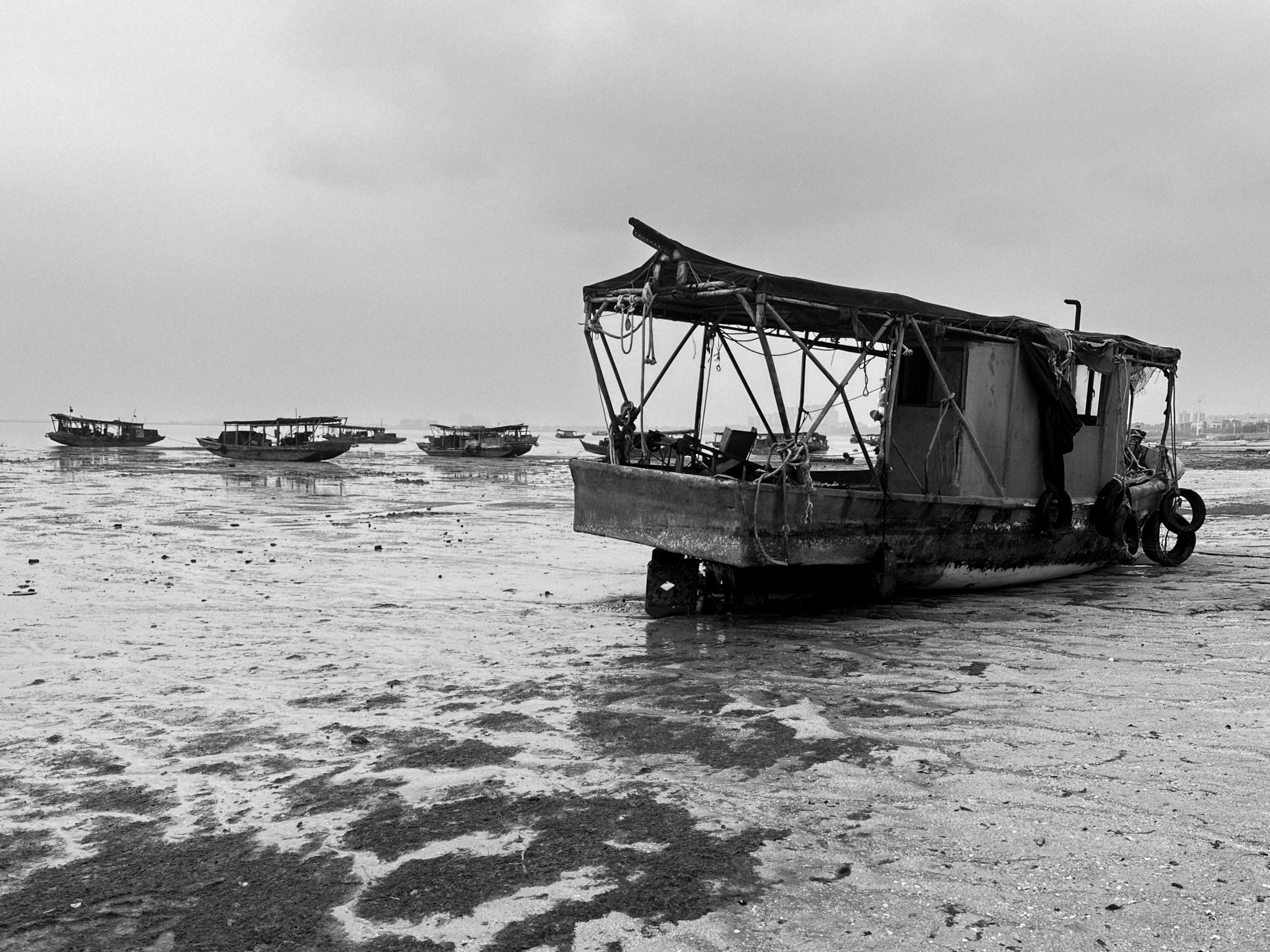 Мобильная фотография. Портретный фотограф Марина Щеглова в Москве