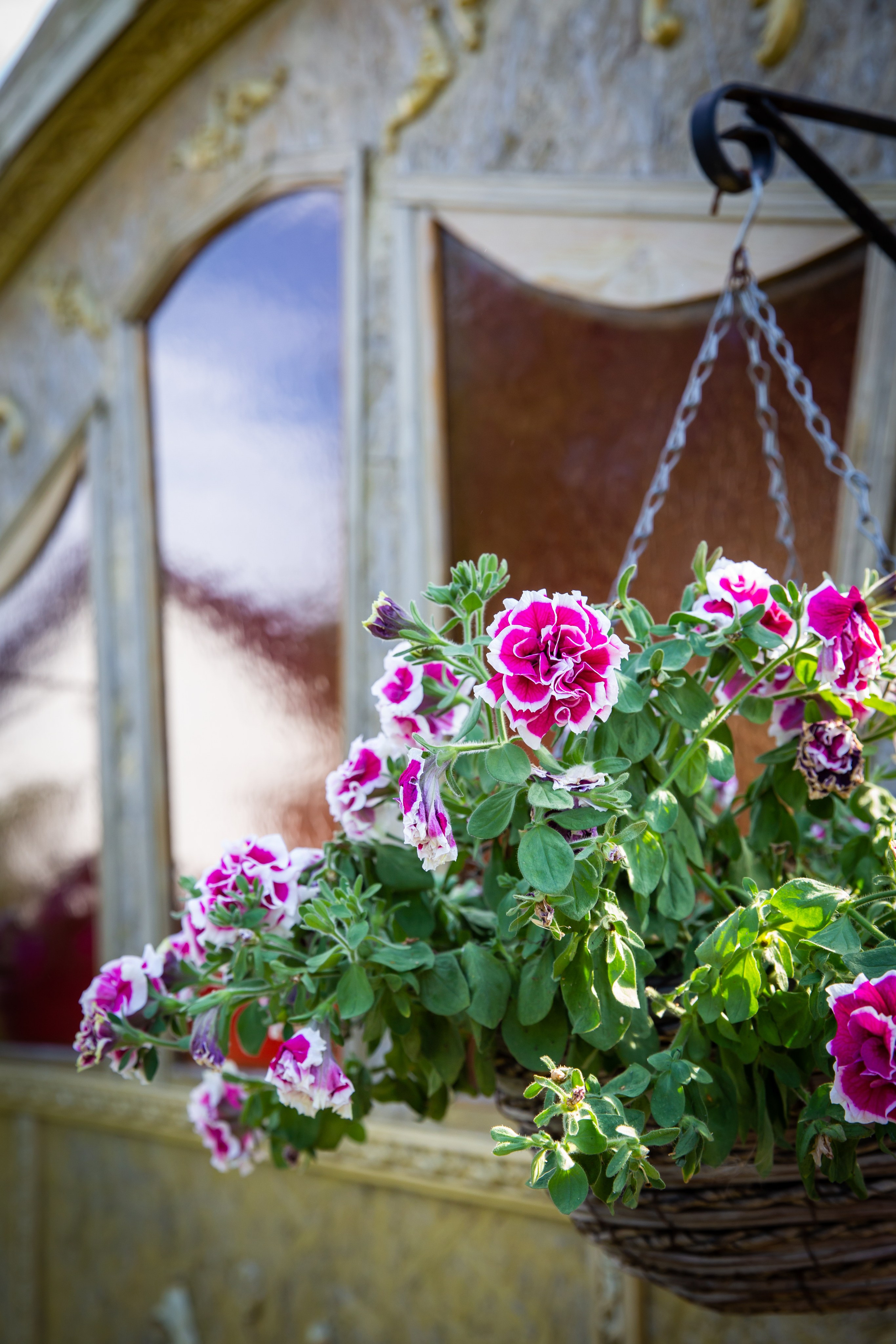 Юбилеи и корпоративы. Екатерина Рыбина фотограф в Нижнем Новгороде