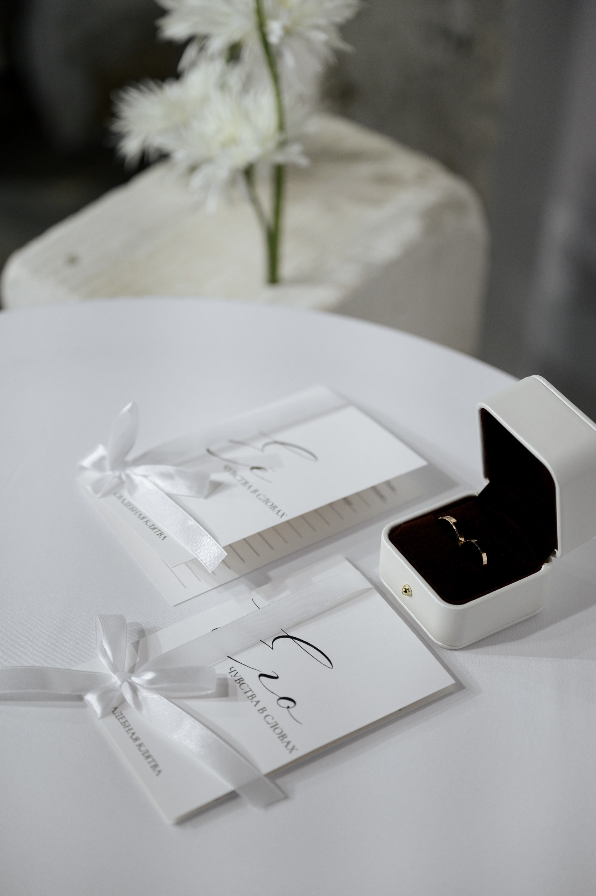 Антон и Виолета. Zhulanovilya