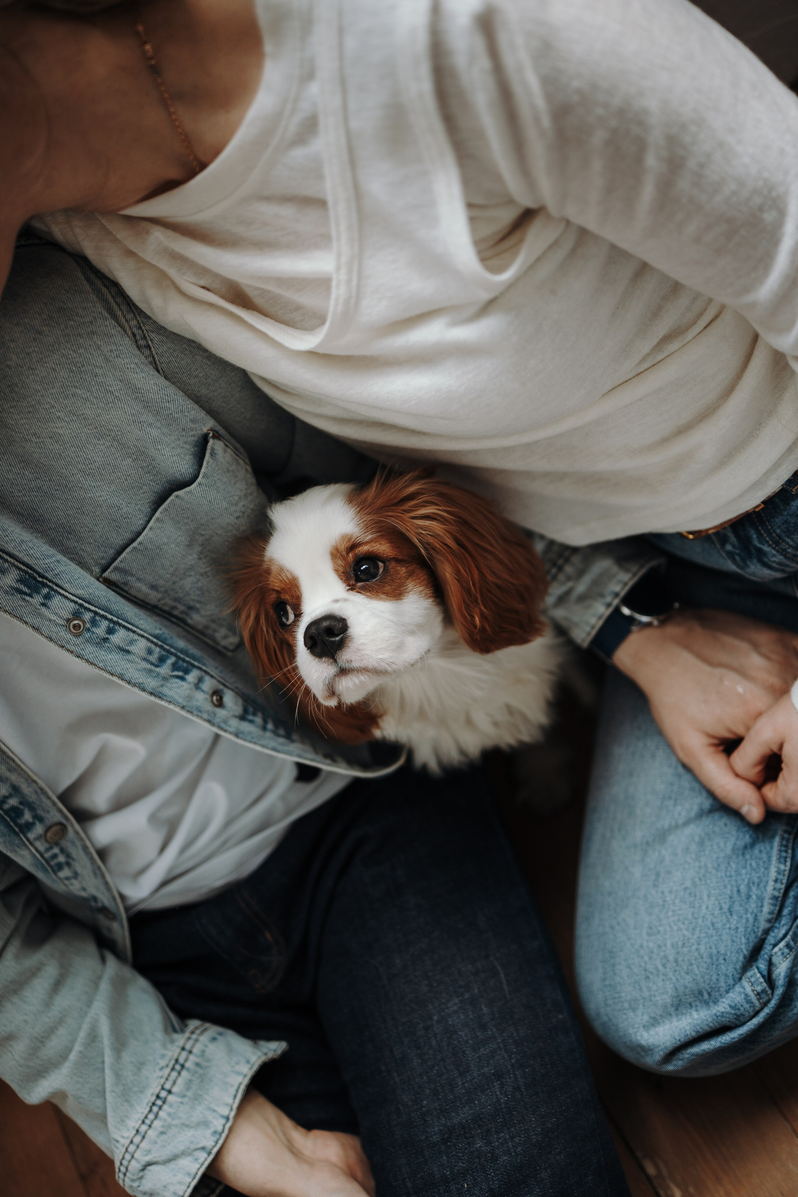 Плуто и его семья. Фотограф — Анималист | Санкт-Петербург