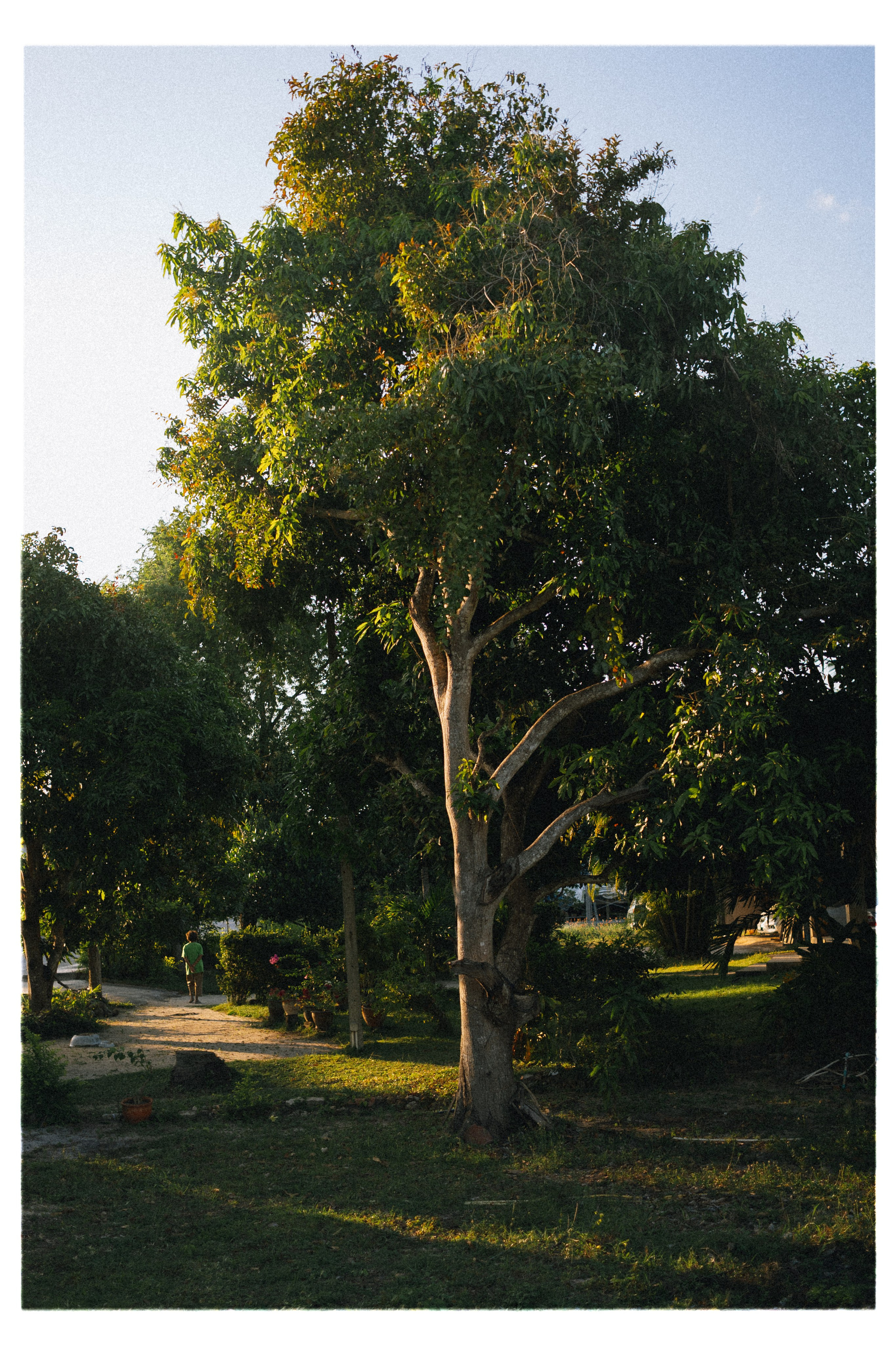 PAHNGAN 26. Свадебный и семейный фотограф Никита Корохов