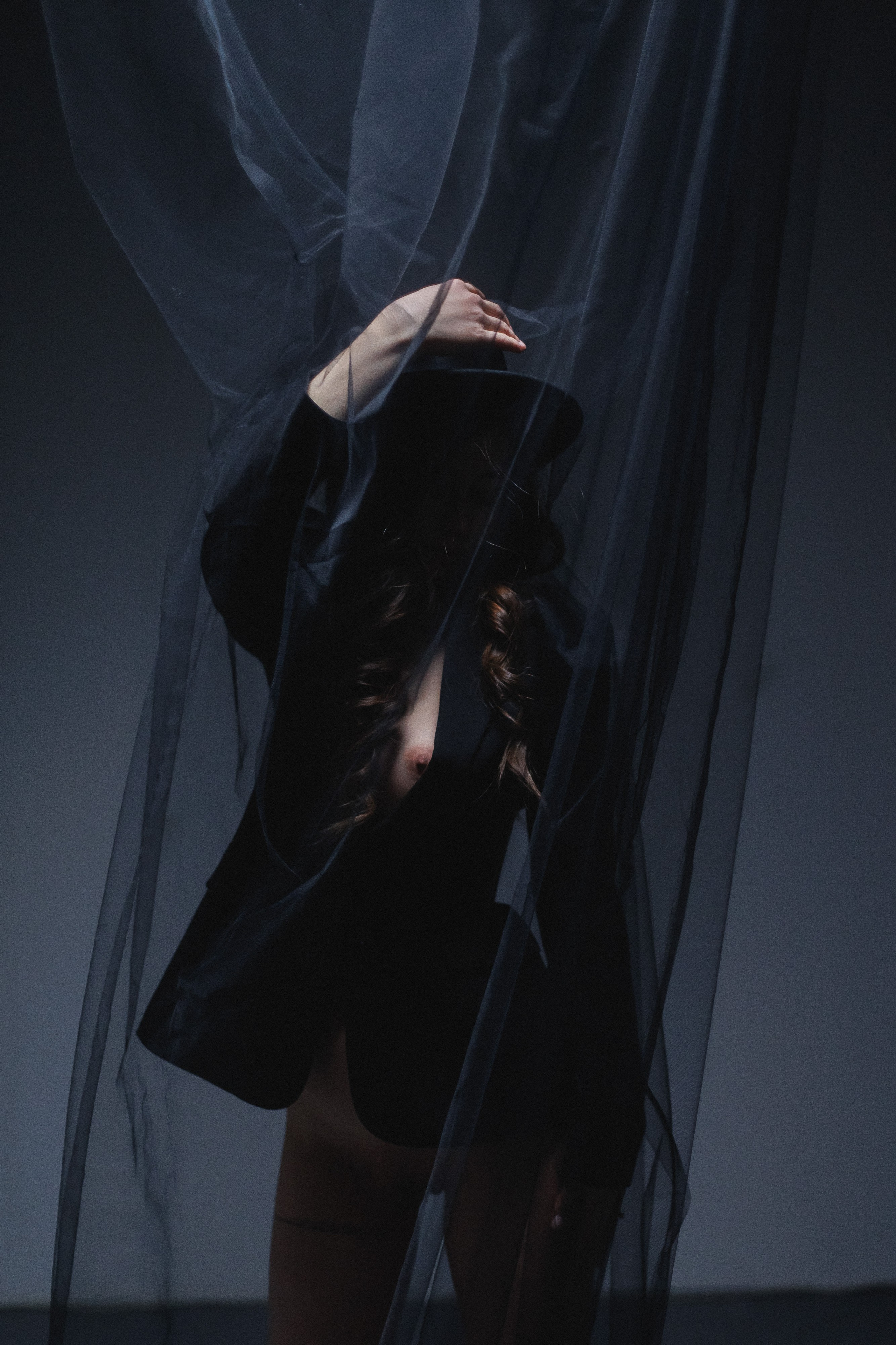 Алана. Фотограф Шейдаев Эмин г. Волгоград