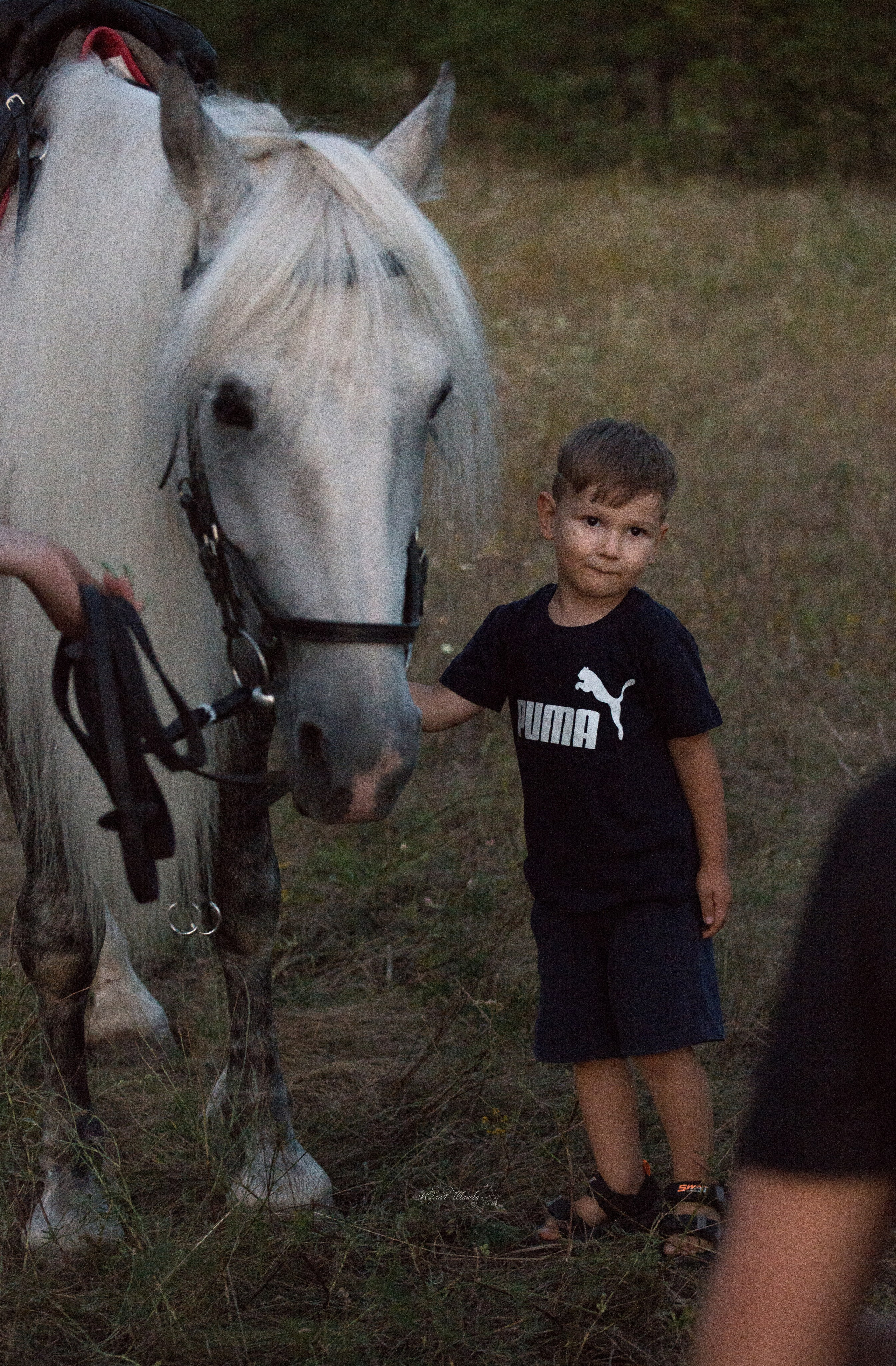 Дети и лошади. Конный фотограф в Саратове Юлия Иванова