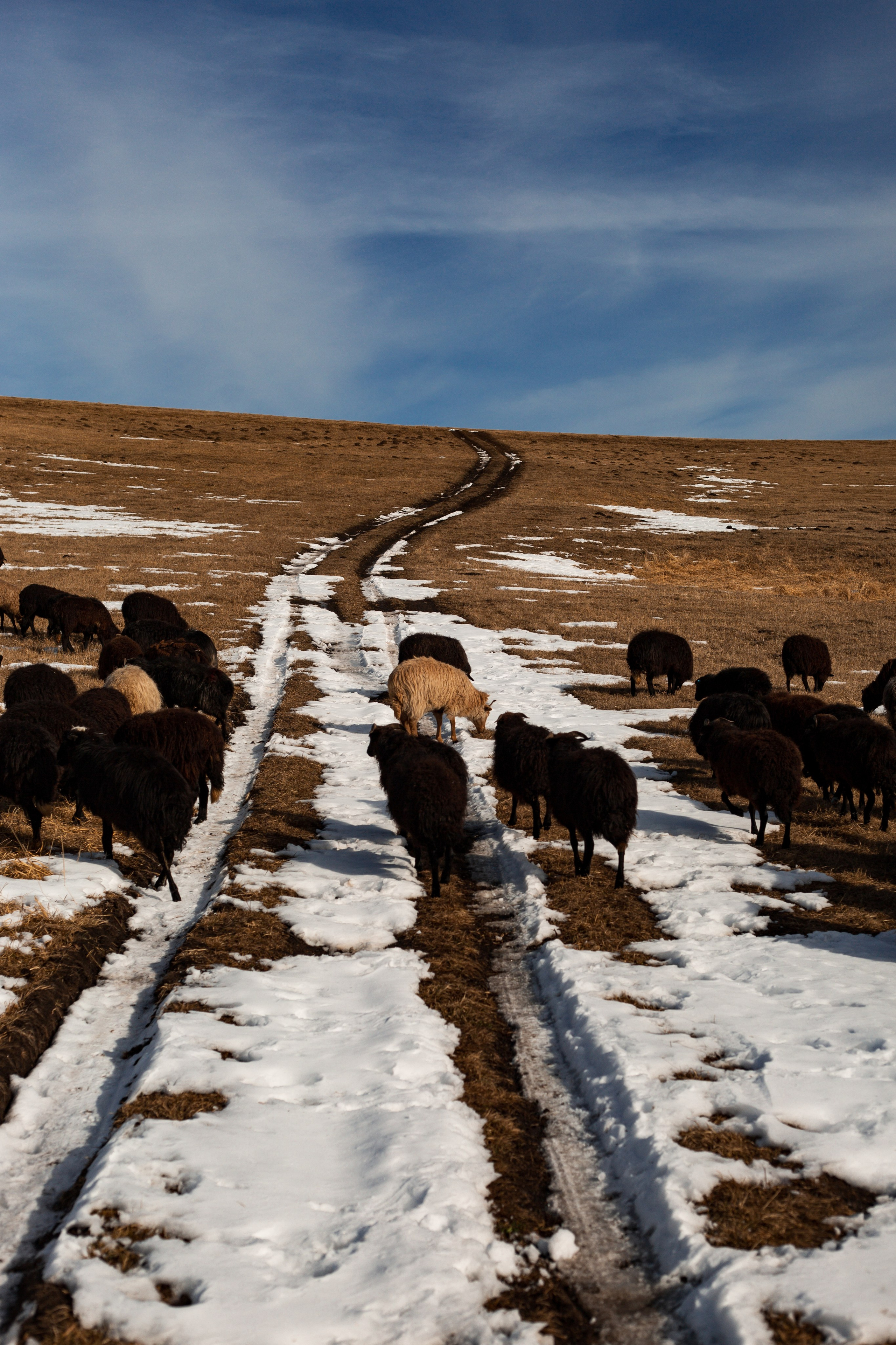 Поездки по России. Трандин Иван Фотограф СПб