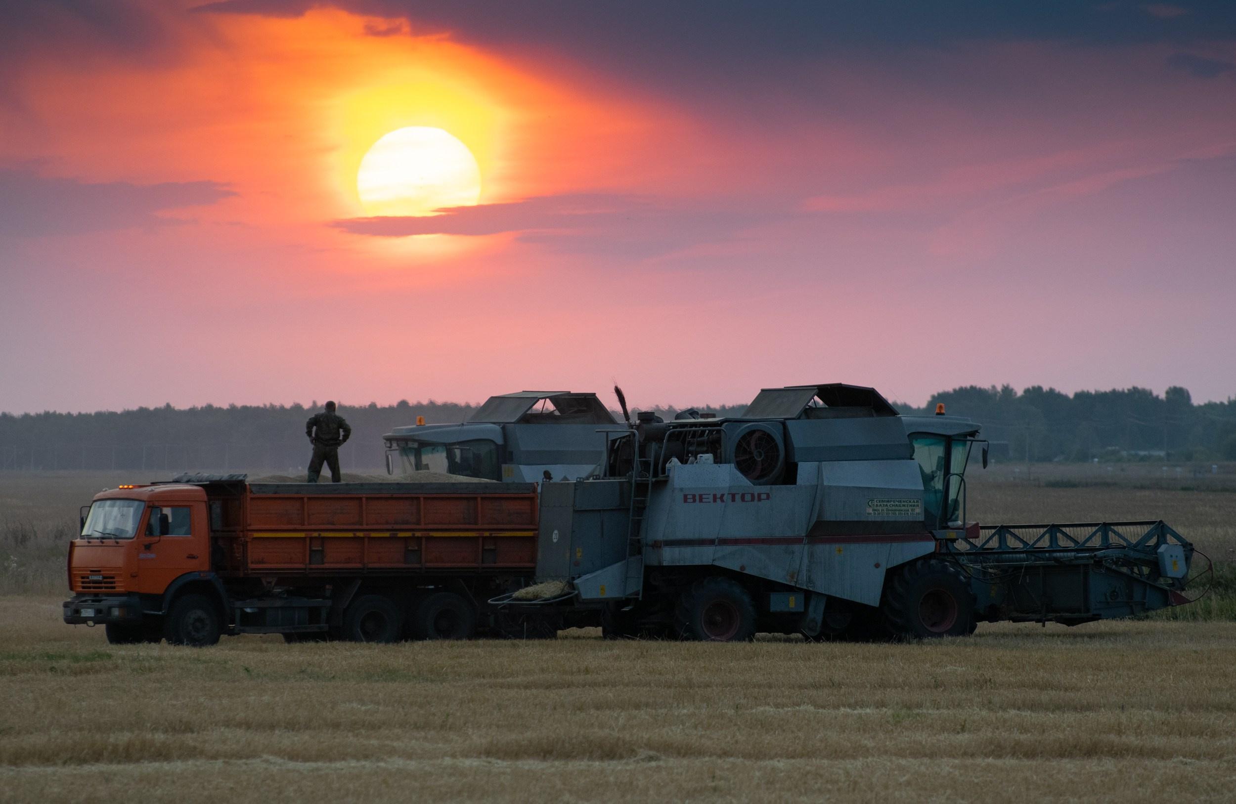 Репортаж. Главная