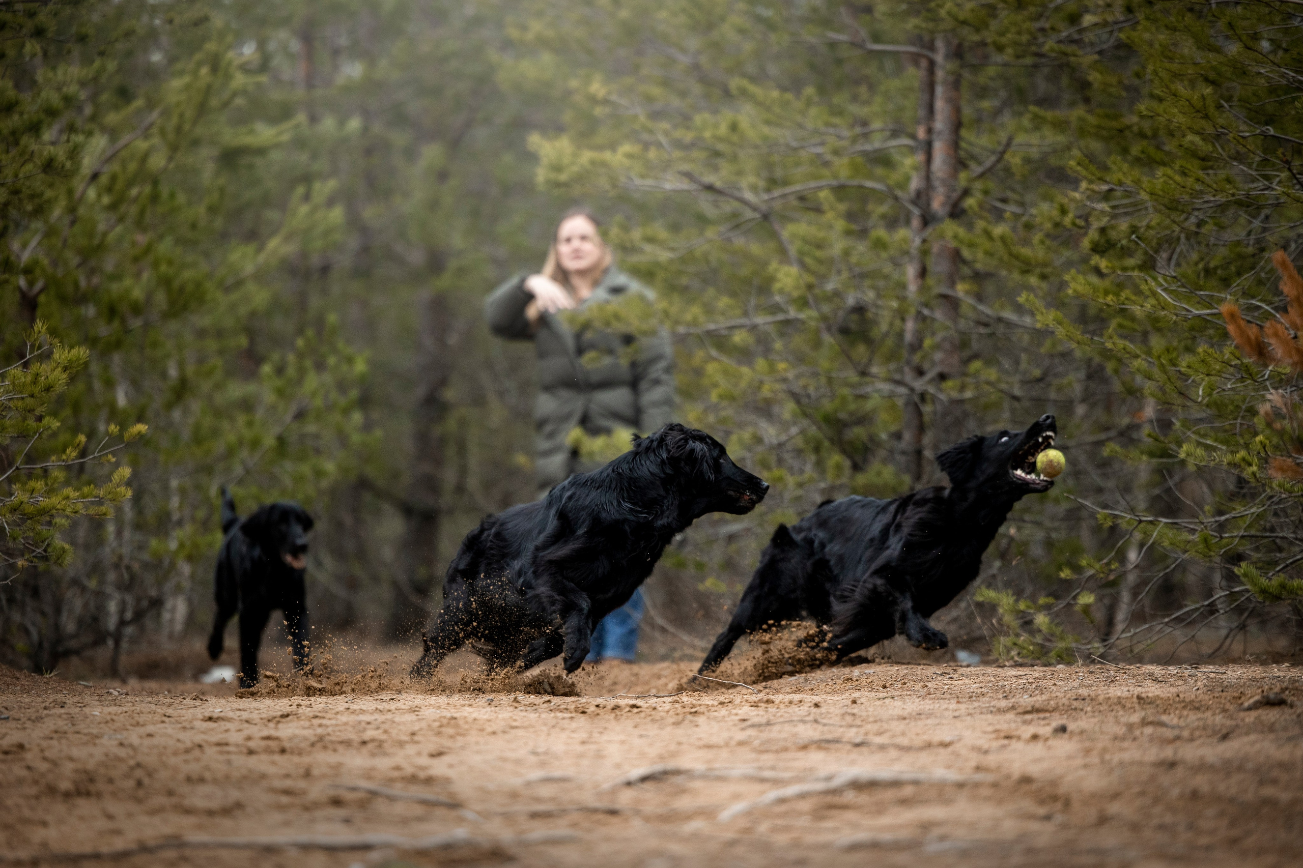Ора, Ева, Рози и их семья. Фотограф — Анималист | Санкт-Петербург