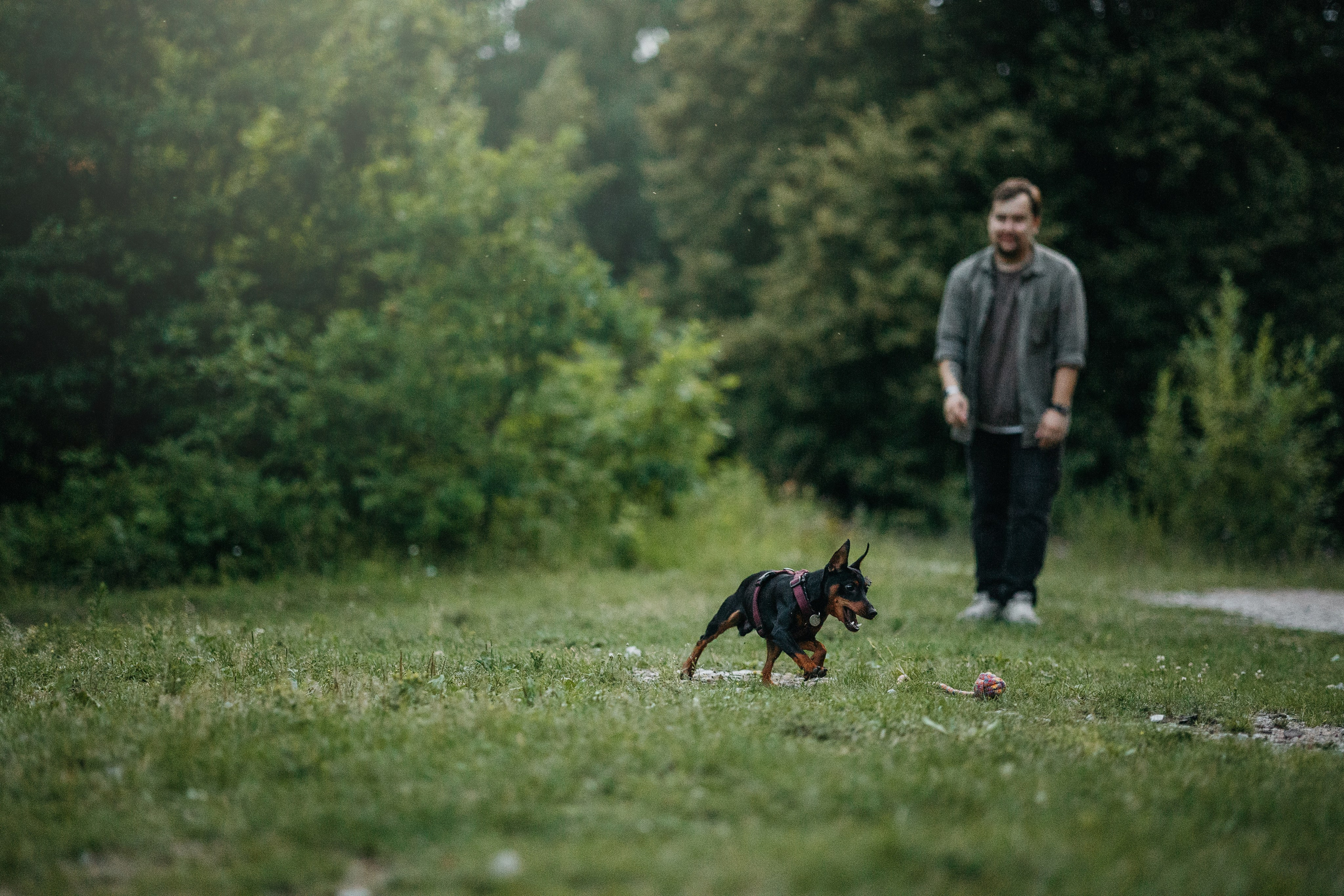 Сириус и его семья. Фотограф — Анималист | Санкт-Петербург