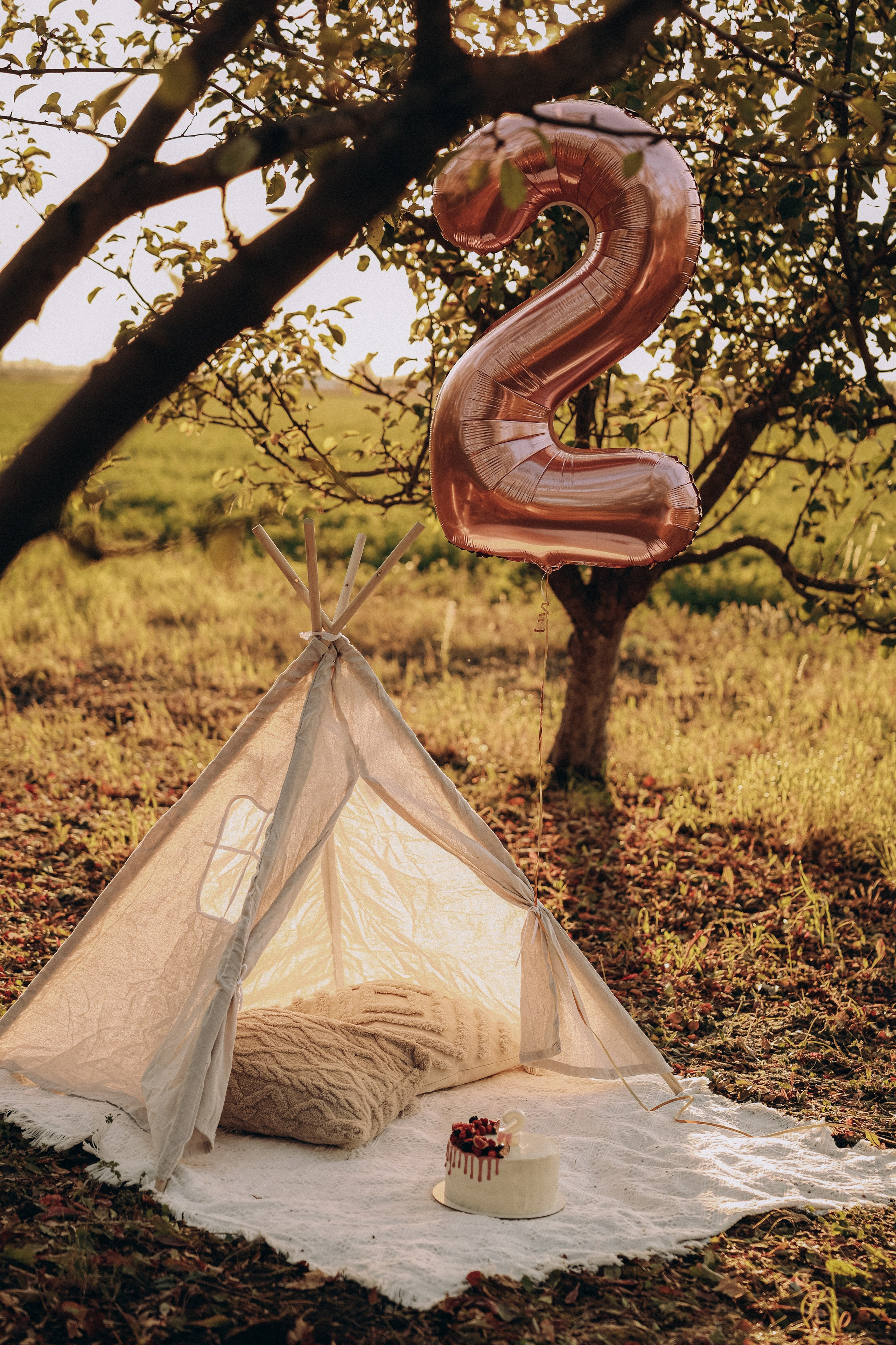 Кедровские. О фотографии с душой