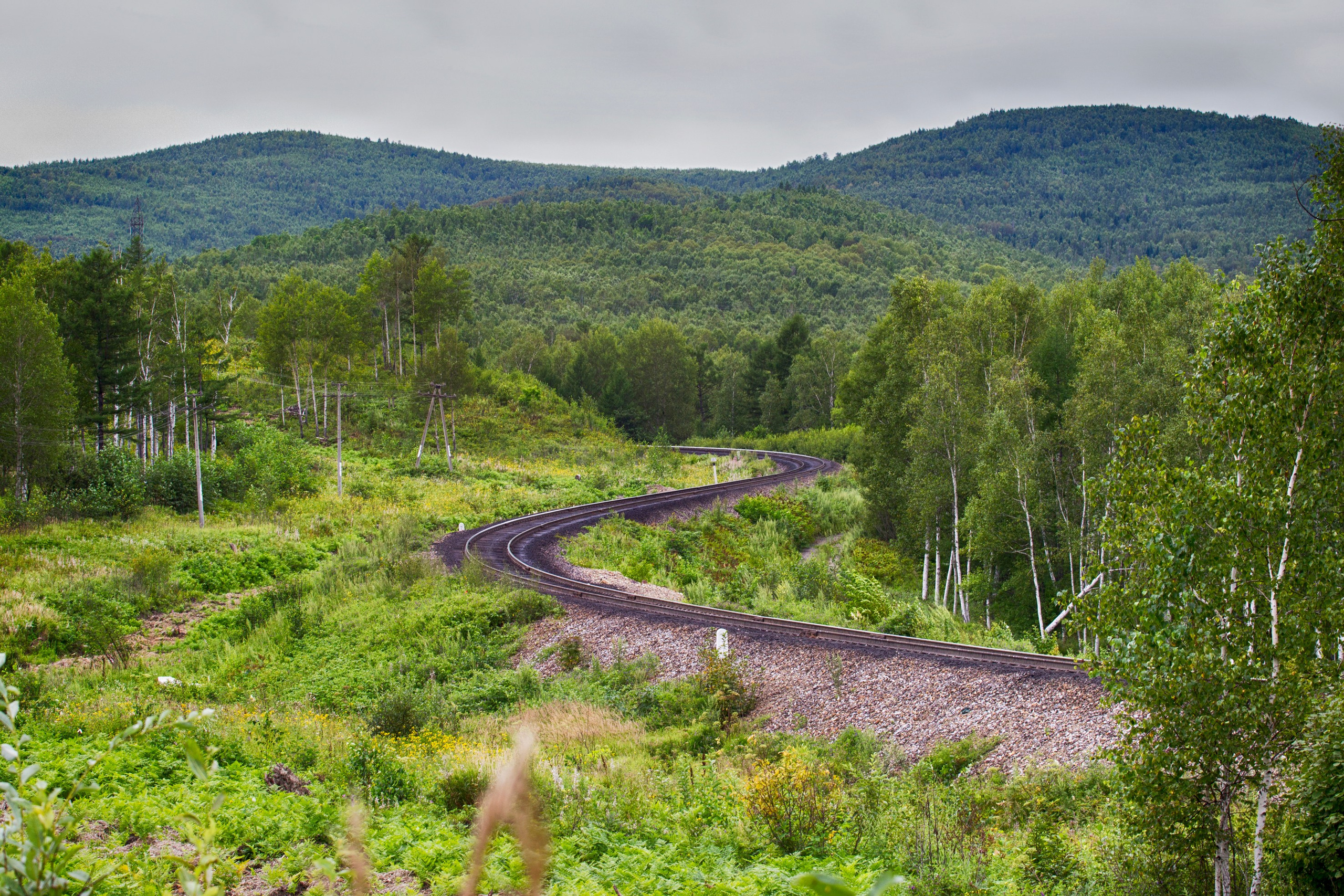 Природа Хабаровского края. Команда фотографов Кристины Ивановой