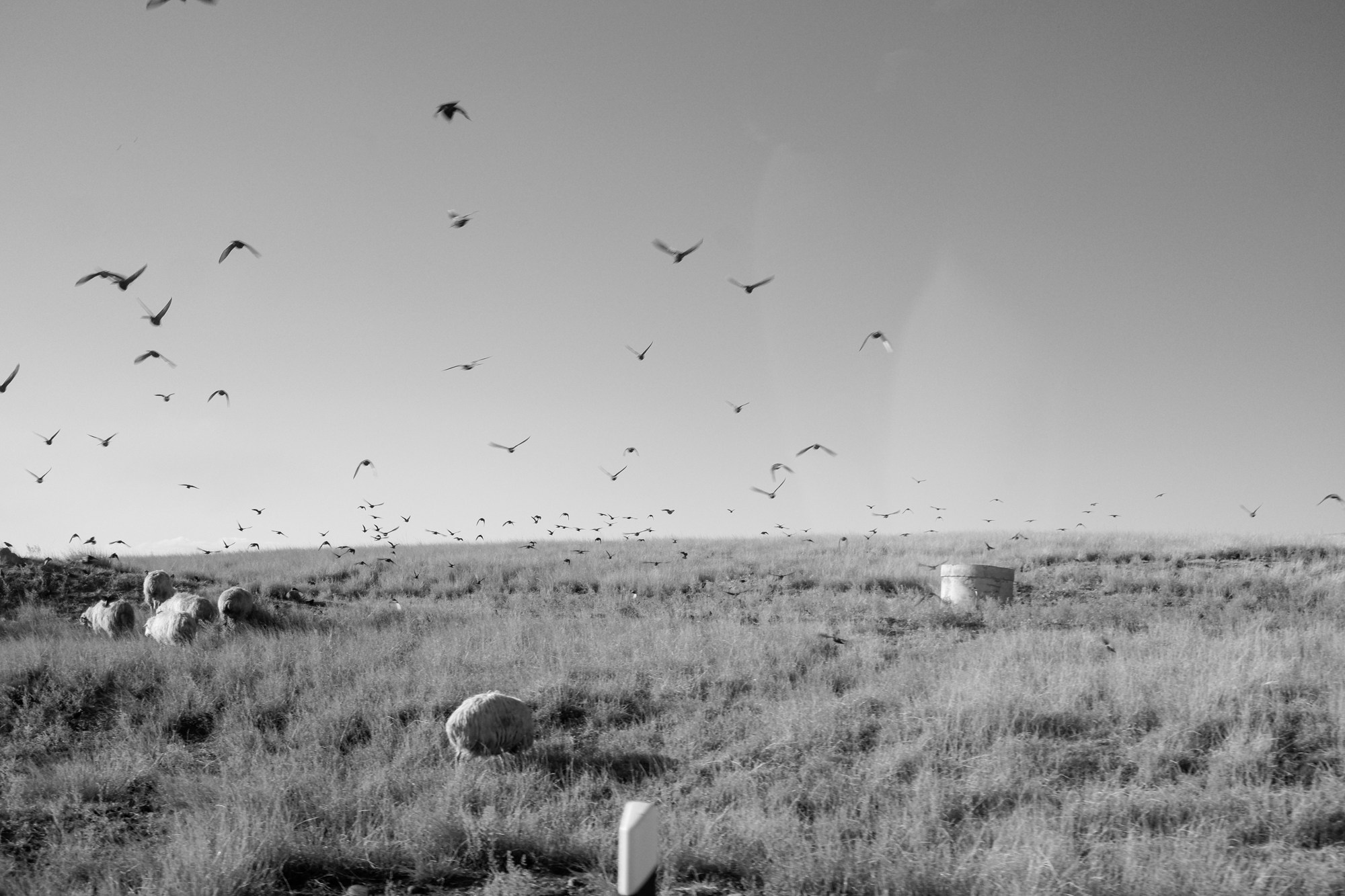 WAITING HALL. Alexander Malchenko