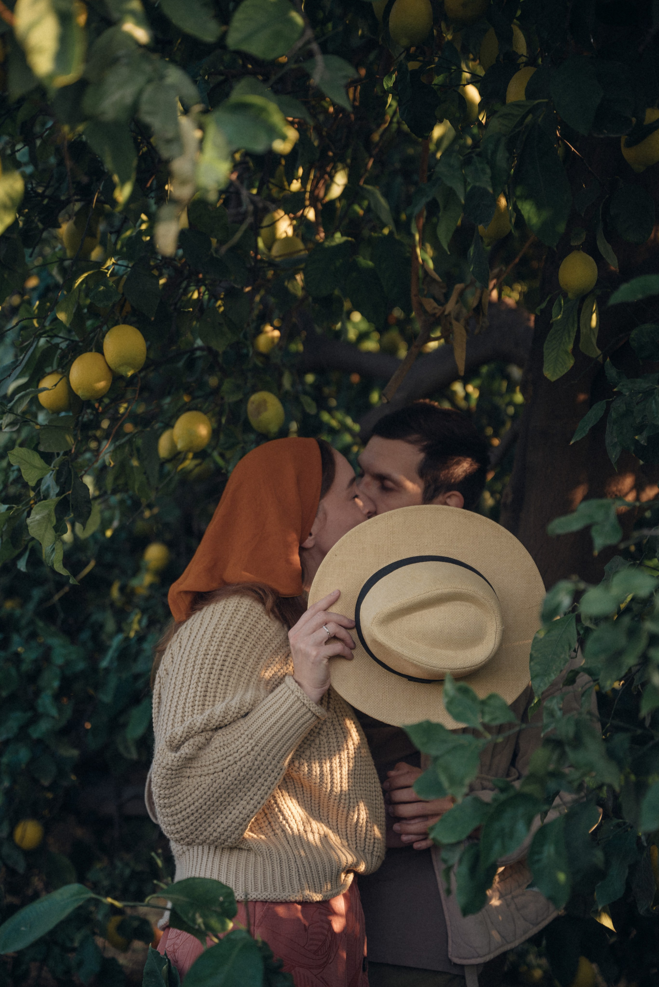 Сбор урожая. Анна Лобанова | фотограф