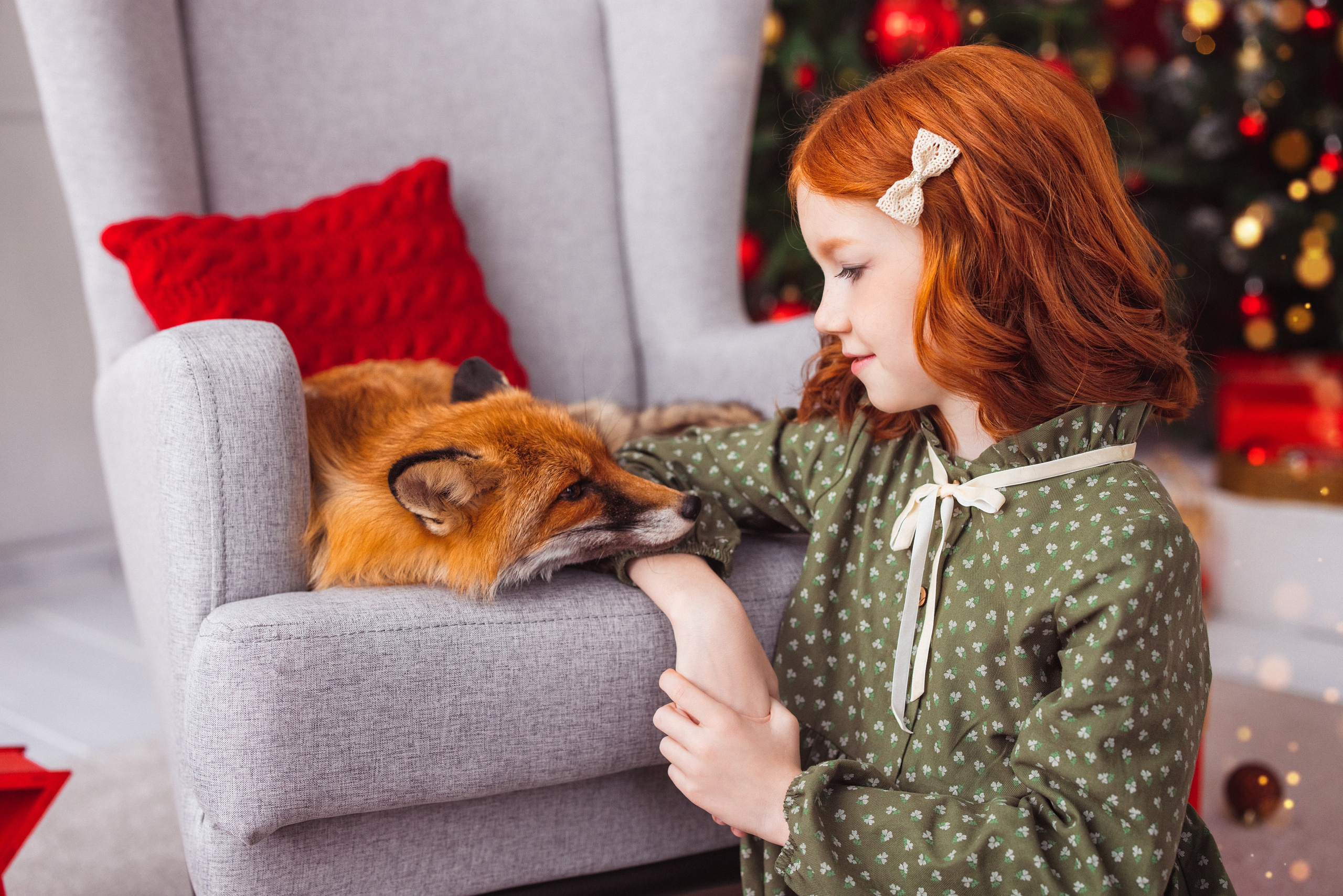 Фотостудия «Мастерская», с лисом. Семейный и детский фотограф в Краснодаре Анна Трашкова