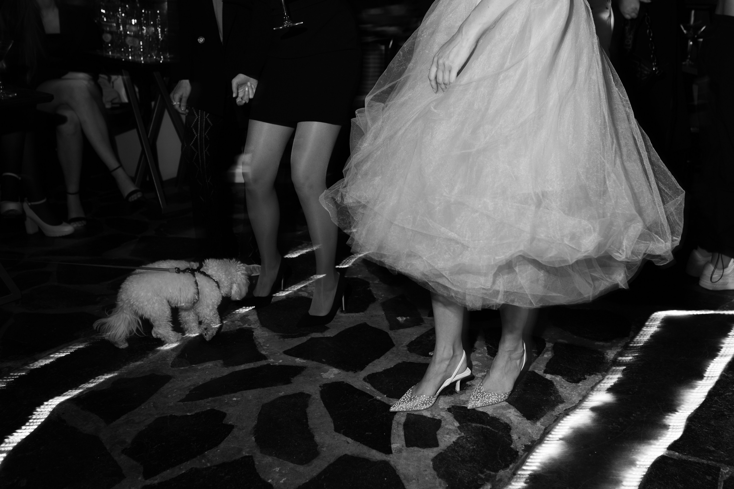 Правда Бар. Свадебный фотограф | Москва