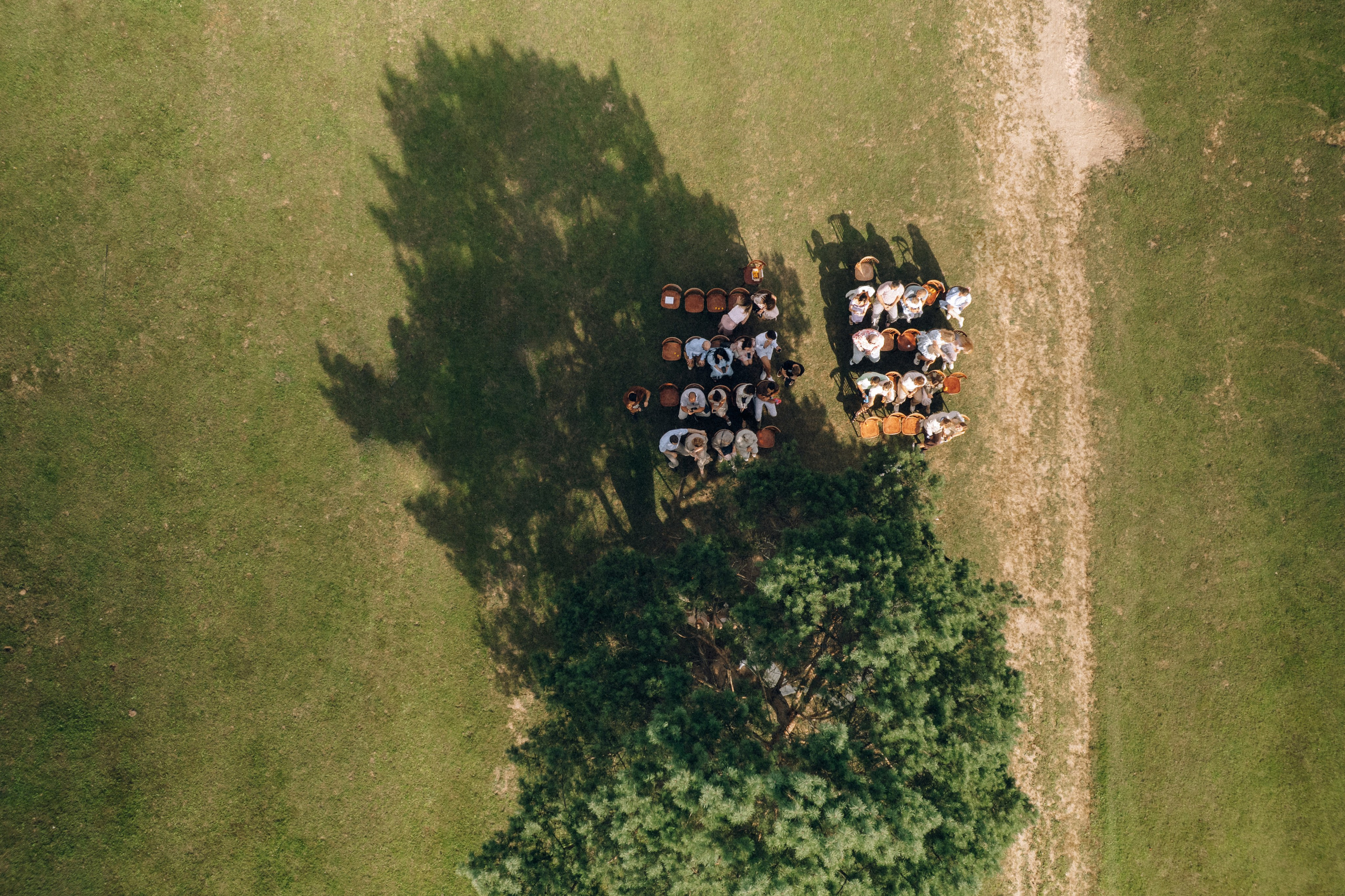 Вика и Ваня. Анастасия Мелёхина Фотограф Москва, Свадебный фотограф Москва