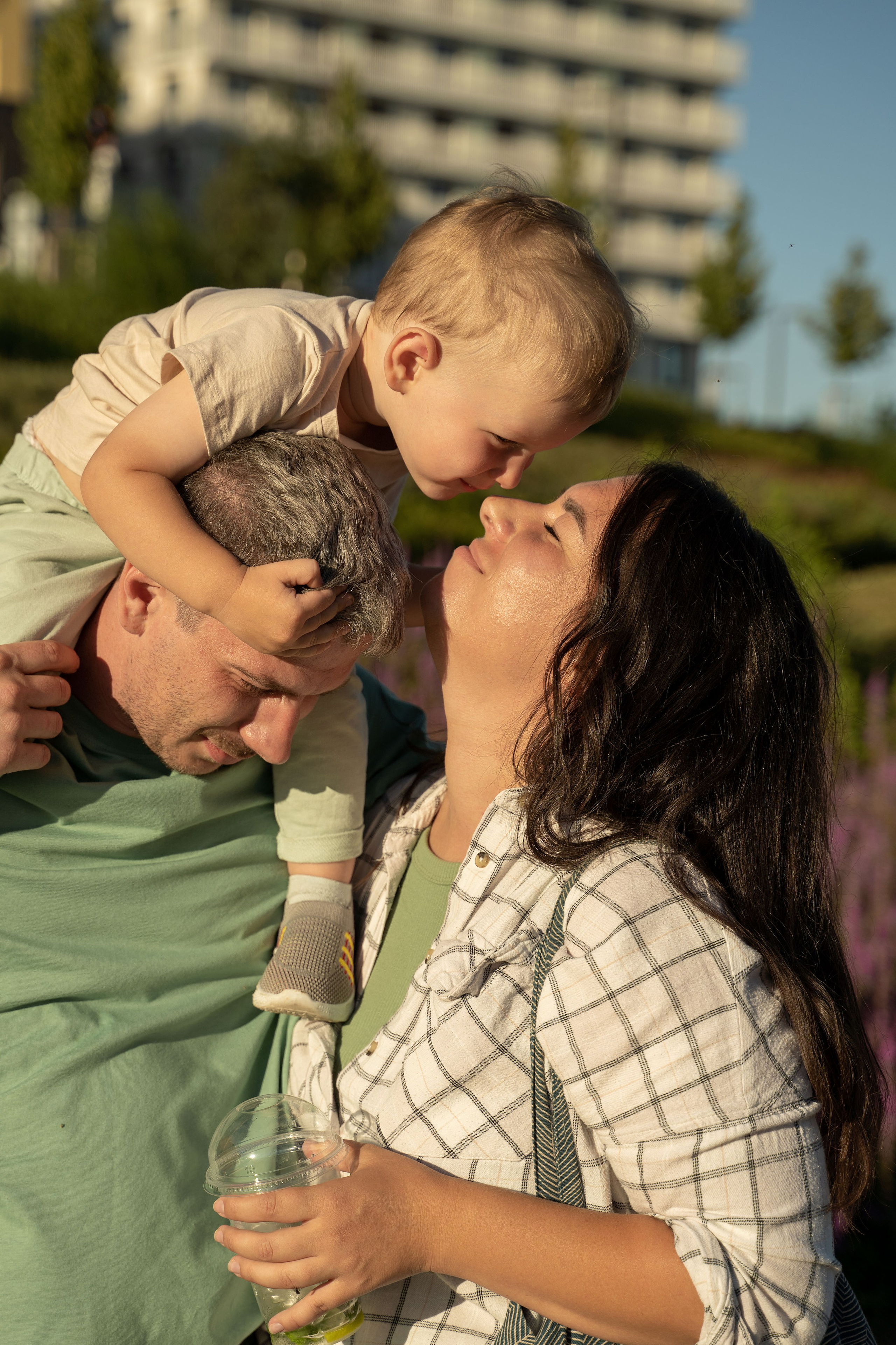 Семейная прогулка. Главная