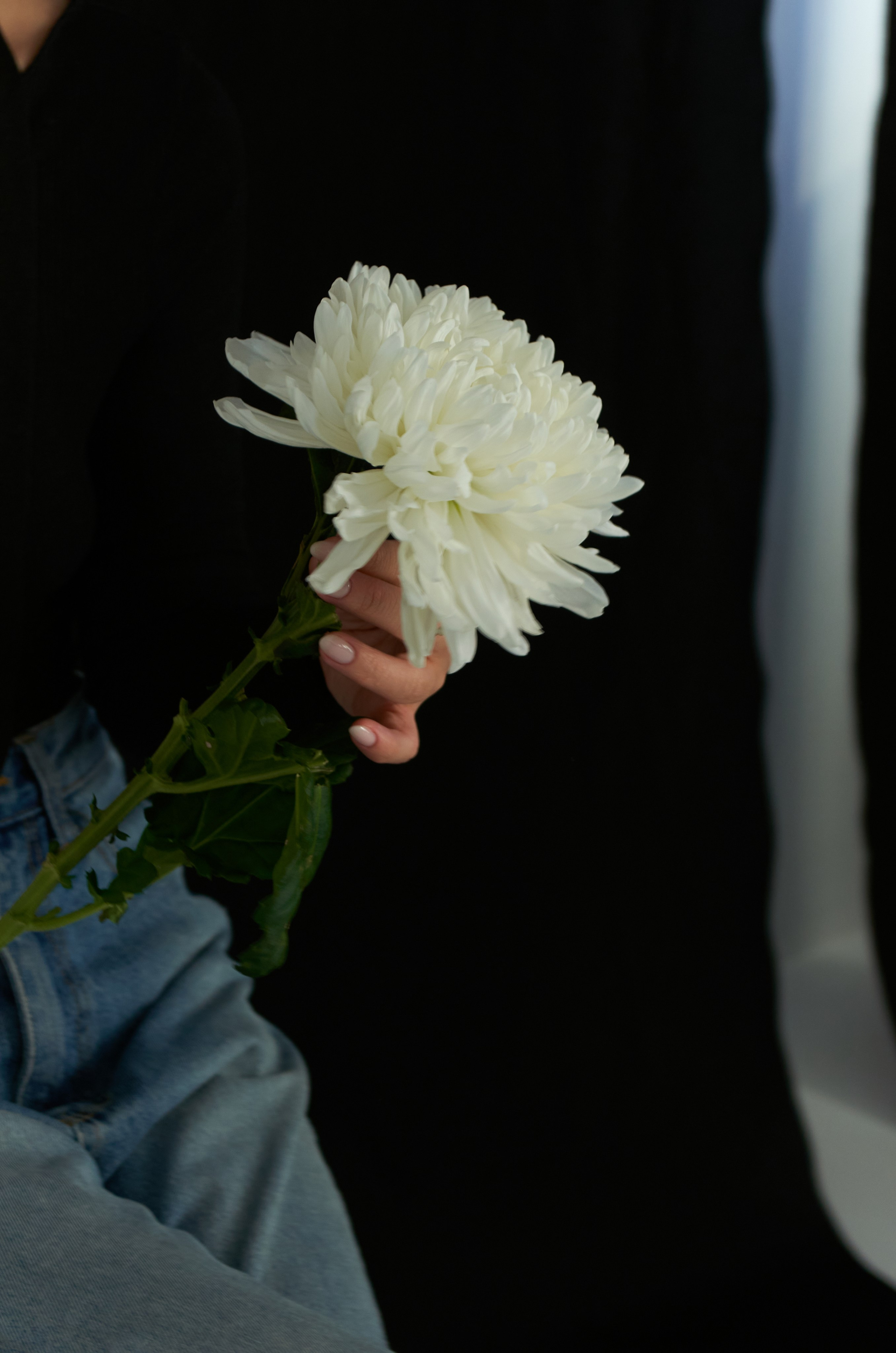 Ариун 2025. Фотограф Улан-Удэ