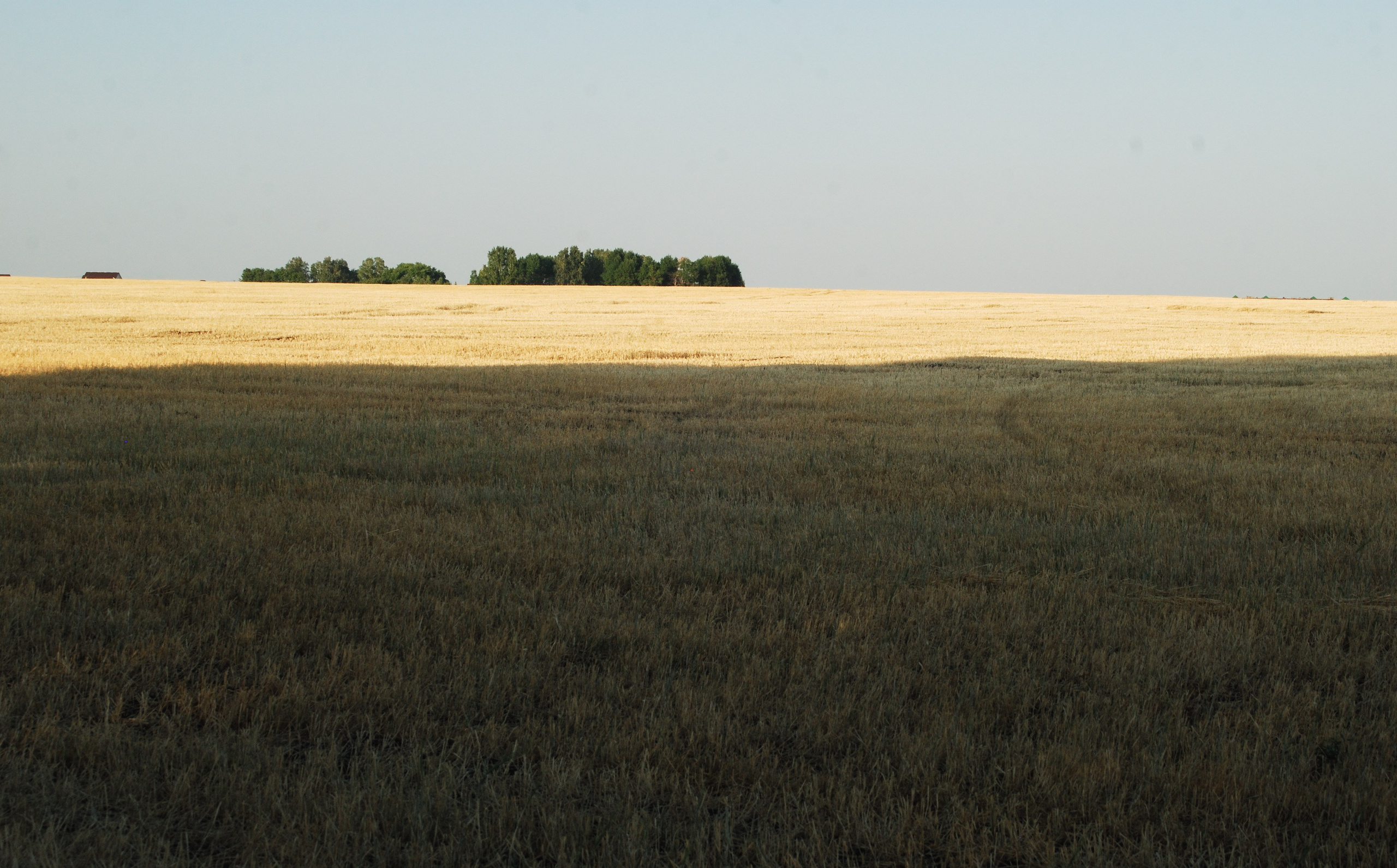 Этот прекрасный мир