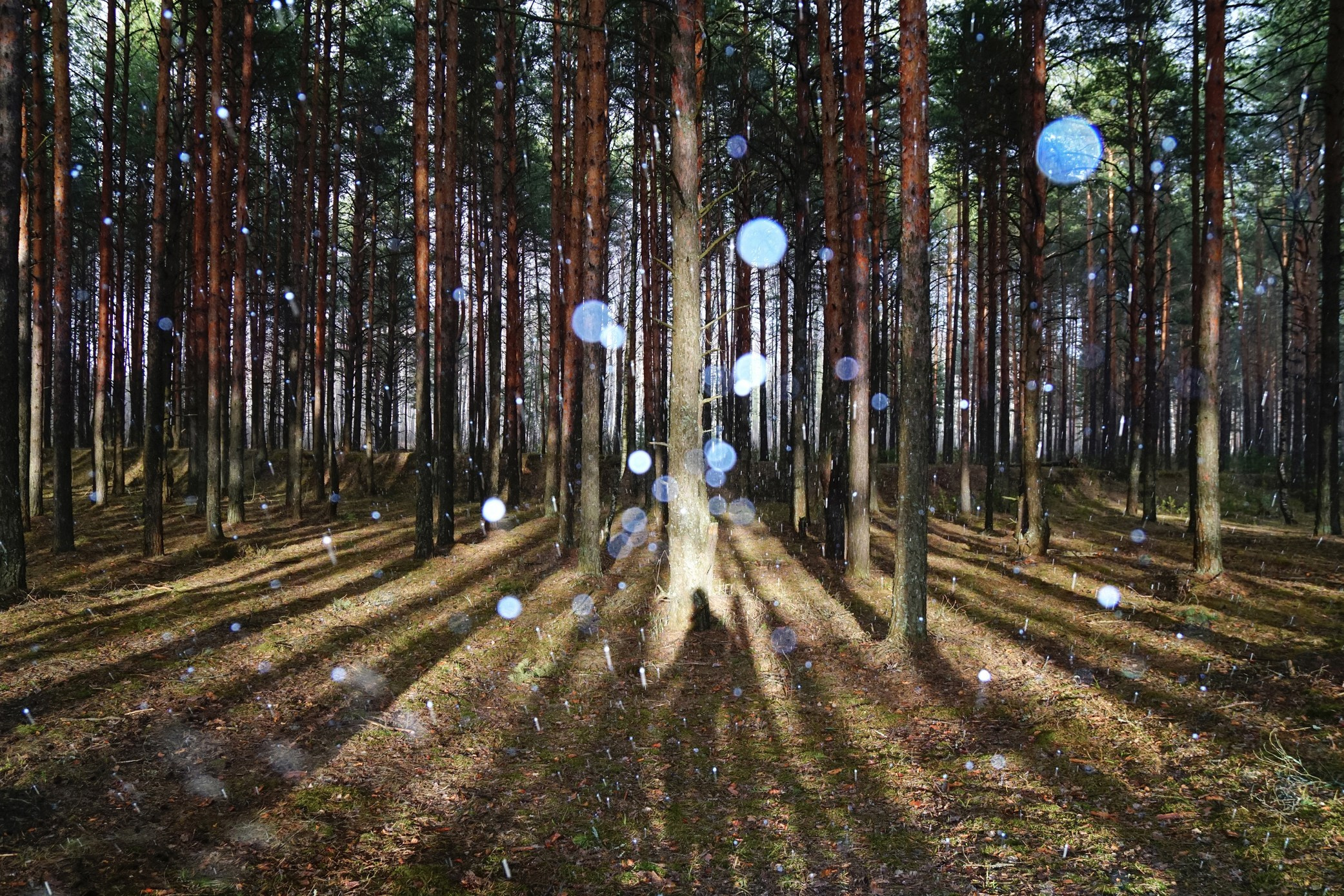 Симуляторы (Каталог № 3). Главная