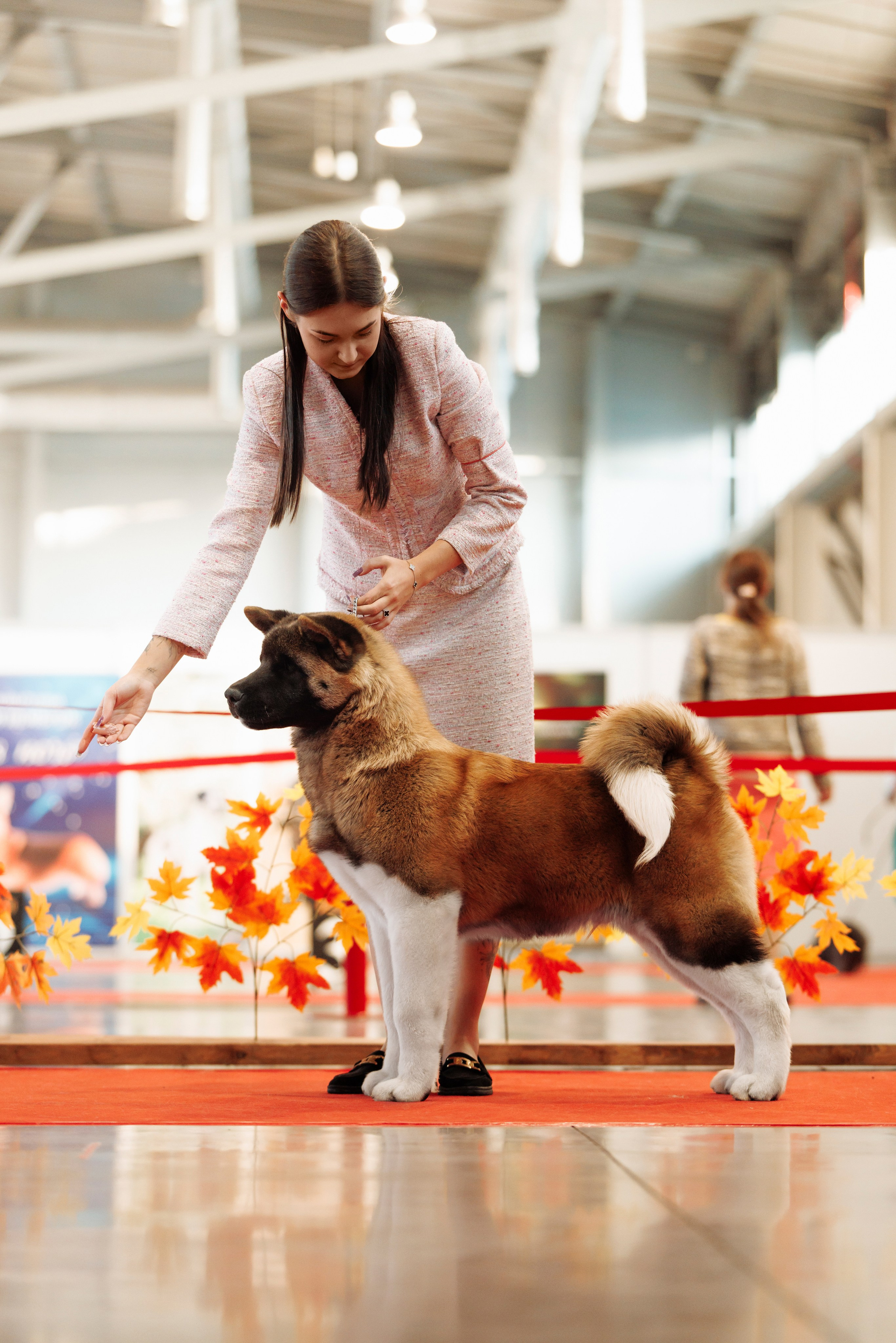 18/19.10.2025 — Екатеринбург. Фотограф-анималист Саша Вязьмина