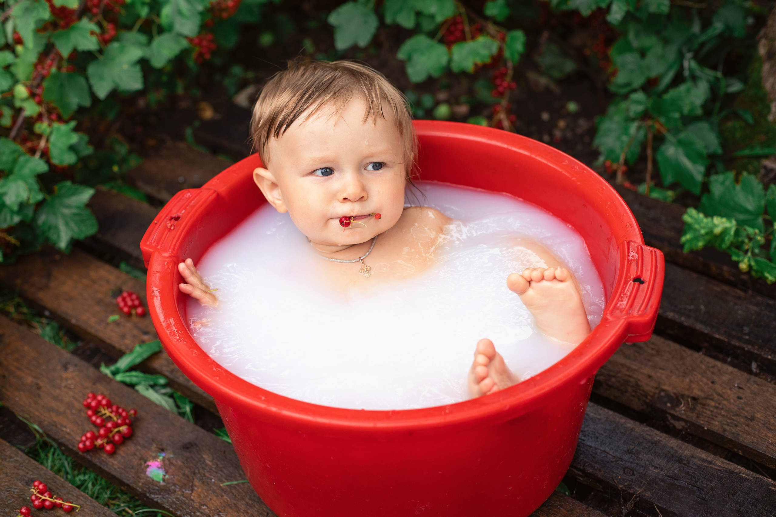 Арсюша. Семейный и школьный фотограф Катерина Голубева