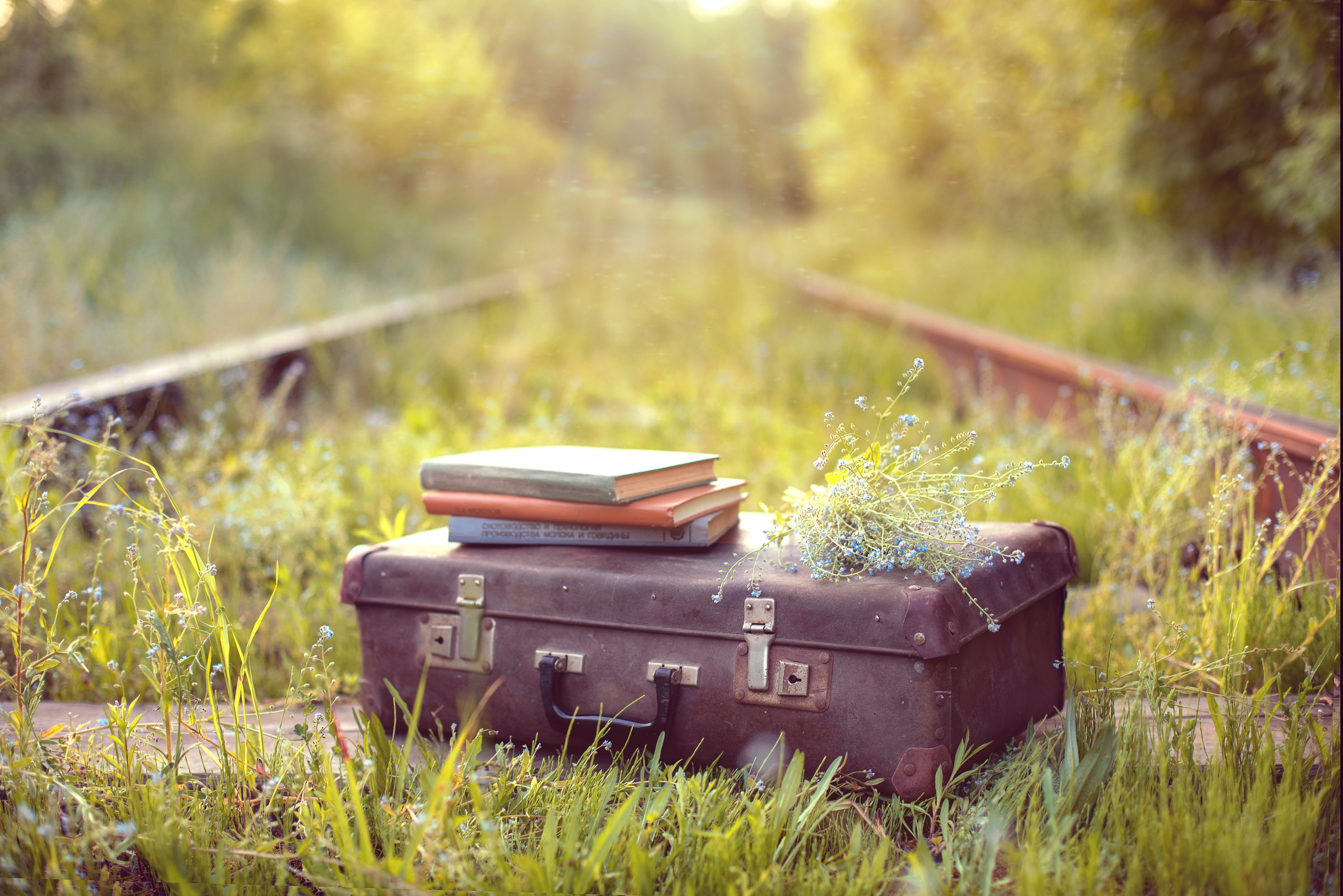 Полина. Семейный и школьный фотограф Катерина Голубева